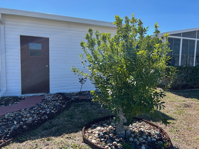 7027 Date Palm Ln, Ellenton, Florida 34222, 2 Bedrooms Bedrooms, ,2 BathroomsBathrooms,55-Plus Mobile Home,For Sale,Date Palm Ln,4521