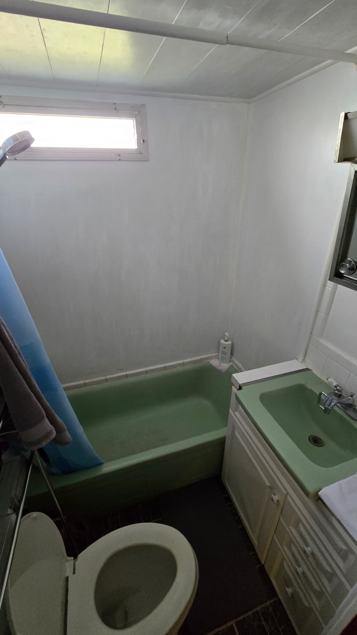 3565 58th Ave N, Lot 141, St Petersburg, Florida 33714, 2 Bedrooms Bedrooms, ,1 BathroomBathrooms,55-Plus Mobile Home,For Sale,58th Ave N, Lot 141,4525