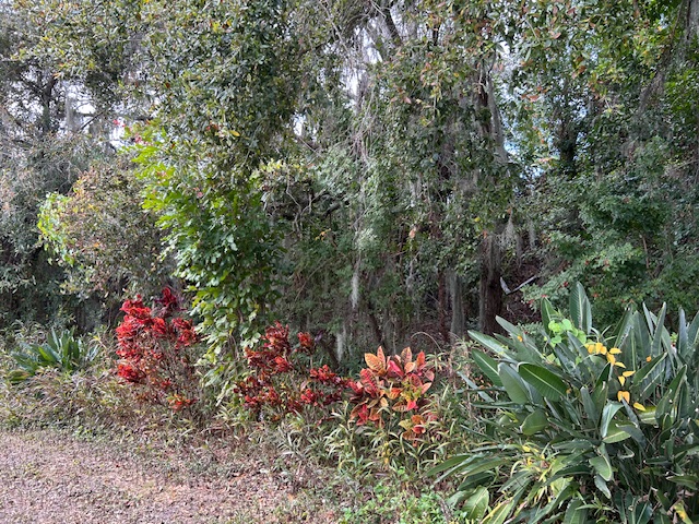 6821 Coconut Grove Circle, Ellenton, Florida 34222, 2 Bedrooms Bedrooms, ,2 BathroomsBathrooms,55-Plus Mobile Home,For Sale,Coconut Grove Circle,4531