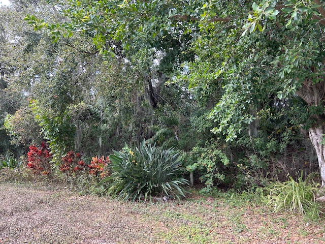 6821 Coconut Grove Circle, Ellenton, Florida 34222, 2 Bedrooms Bedrooms, ,2 BathroomsBathrooms,55-Plus Mobile Home,For Sale,Coconut Grove Circle,4531