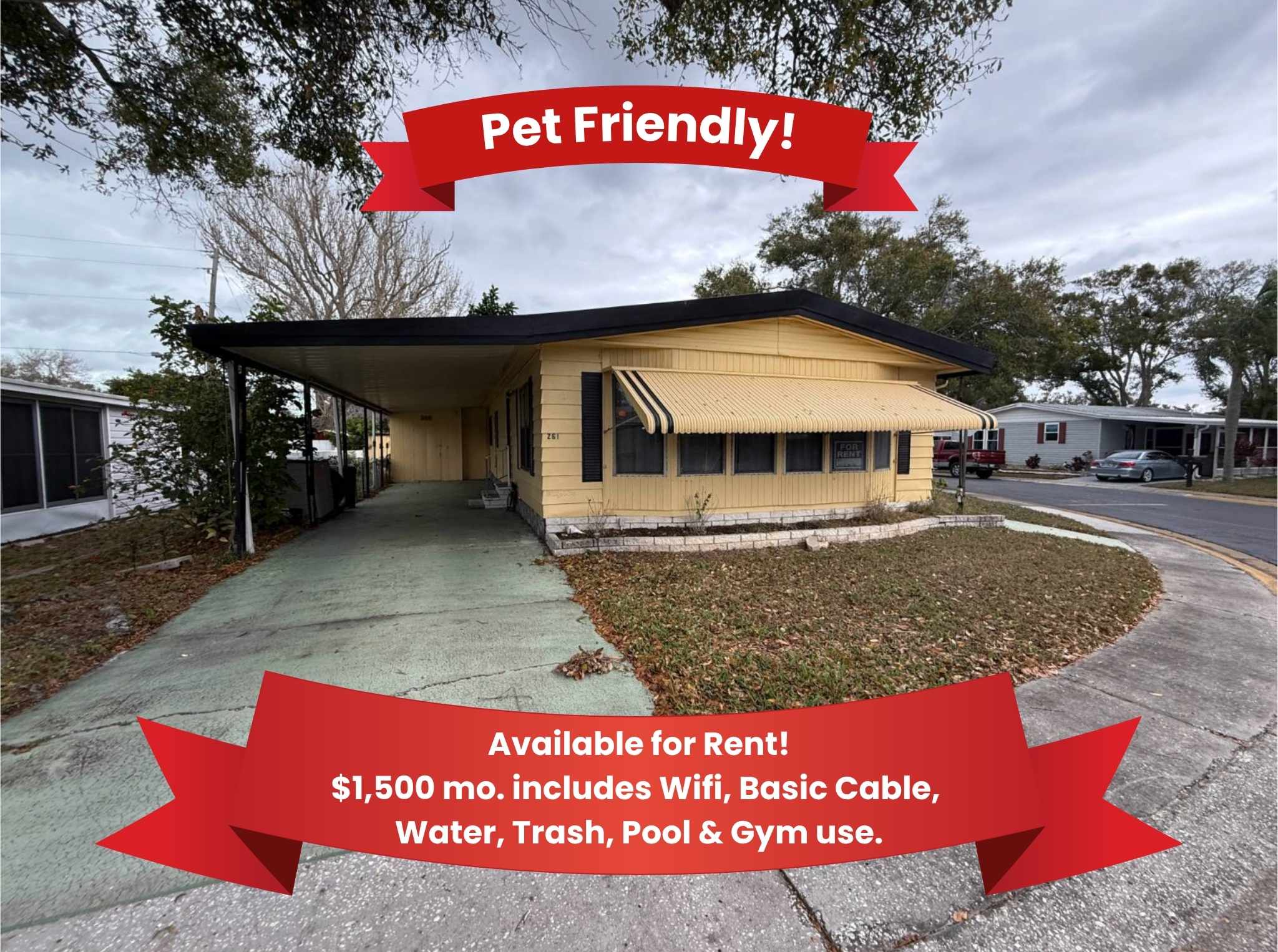 12100 Seminole Blvd, Lot 261, Largo, Florida 33778, 2 Bedrooms Bedrooms, ,2 BathroomsBathrooms,55-Plus Mobile Home,For Sale,Seminole Blvd, Lot 261,4544