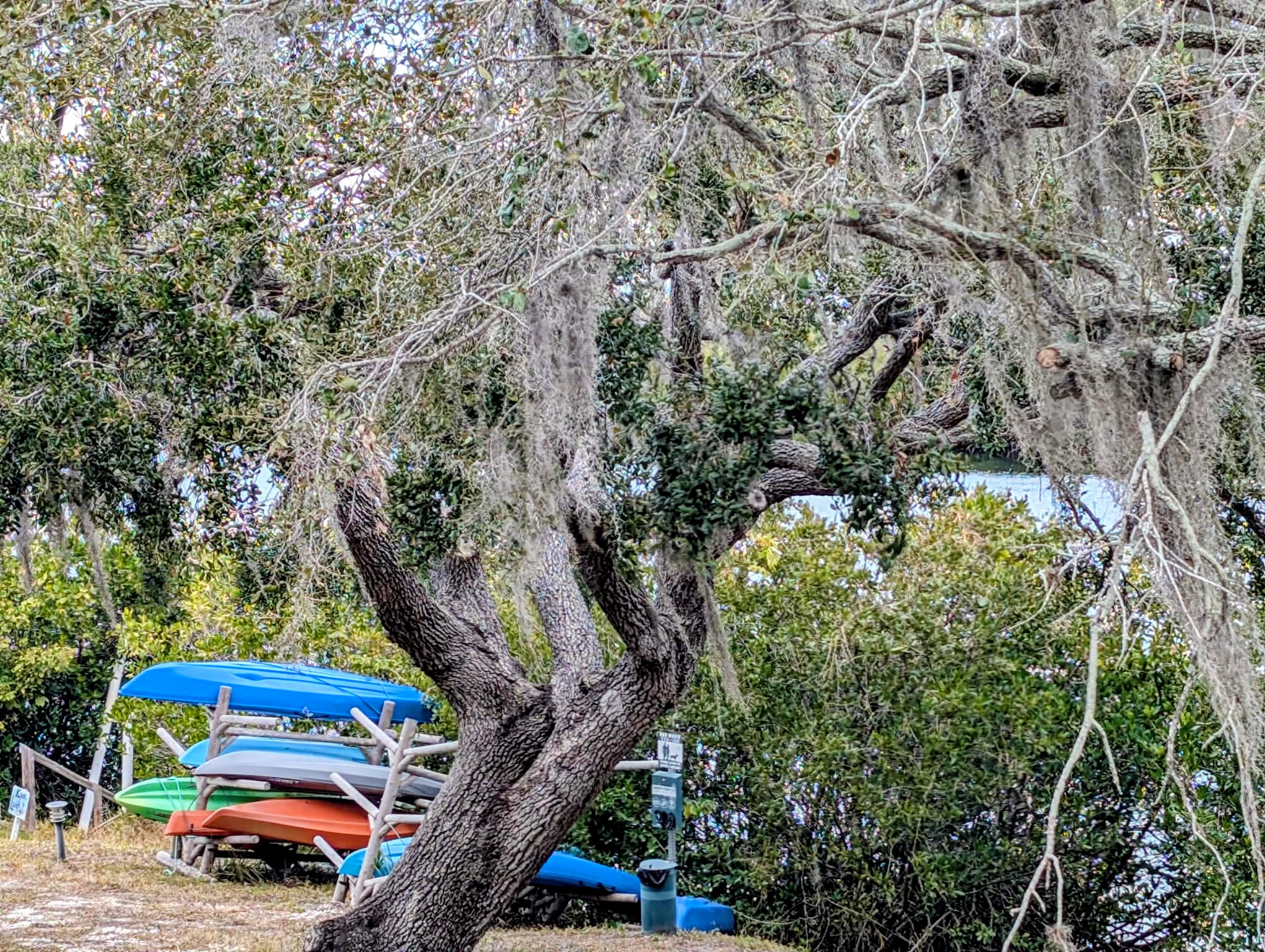 2206 Chaney Dr, Lot 347, Ruskin, Florida 33570, 3 Bedrooms Bedrooms, ,1.5 BathroomsBathrooms,55-Plus Mobile Home,For Sale,Chaney Dr, Lot 347,4545