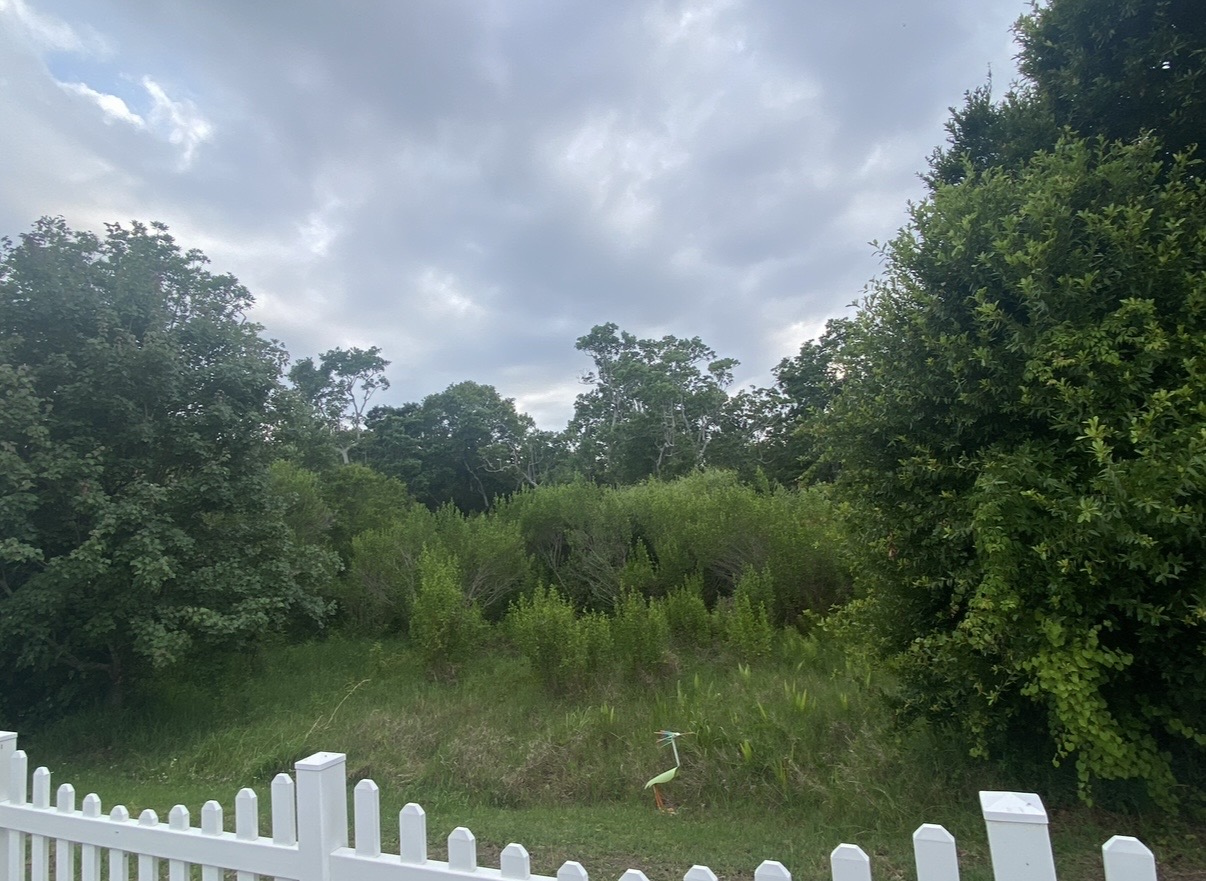 100 Hampton Rd, Lot 270, Clearwater, Florida 33759, 2 Bedrooms Bedrooms, ,2 BathroomsBathrooms,55-Plus Mobile Home,For Sale,Hampton Rd, Lot 270,4558