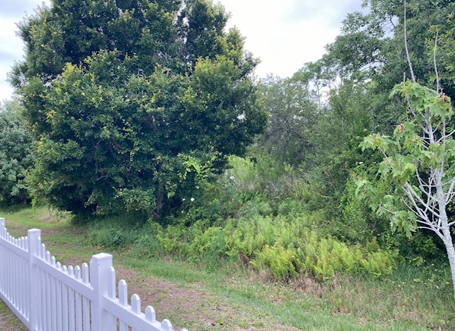 100 Hampton Rd, Lot 270, Clearwater, Florida 33759, 2 Bedrooms Bedrooms, ,2 BathroomsBathrooms,55-Plus Mobile Home,For Sale,Hampton Rd, Lot 270,4558