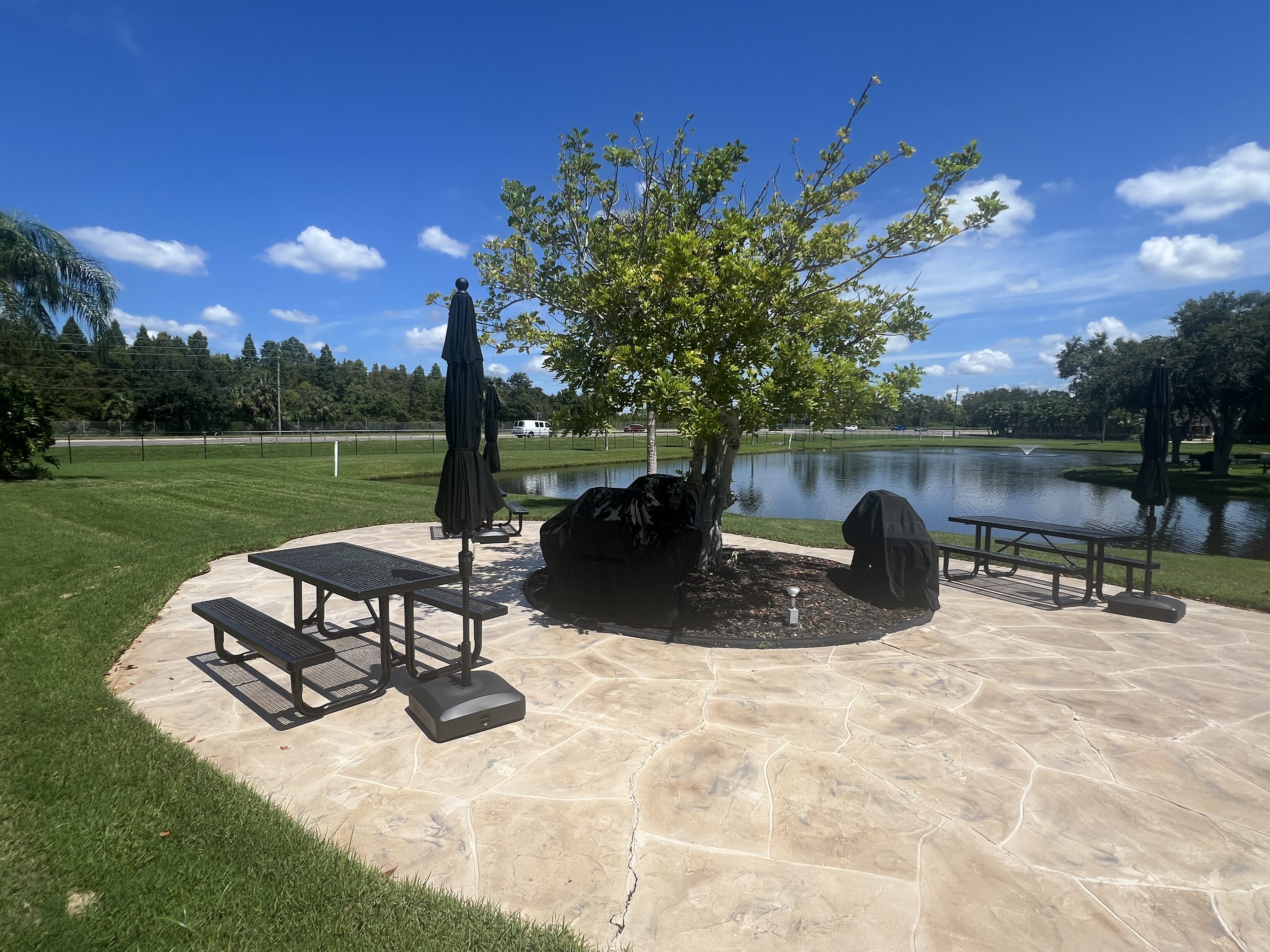 3113 State Road 580, Lot 189, Safety Harbor, Florida 34695, 2 Bedrooms Bedrooms, ,2 BathroomsBathrooms,55-Plus Mobile Home,For Sale,State Road 580, Lot 189,4560