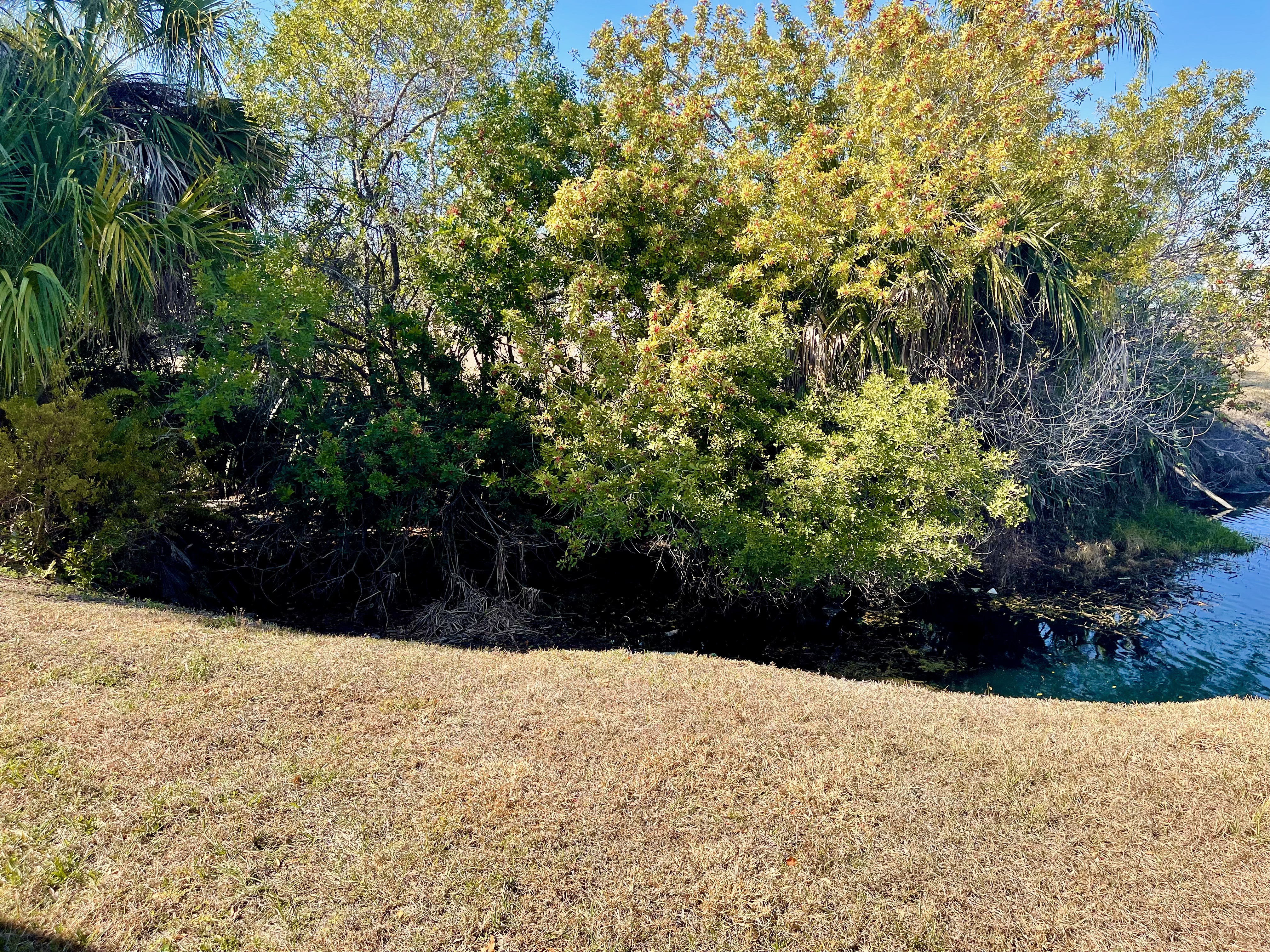 392 Sandpiper Cove, Ellenton, Florida 34222, 2 Bedrooms Bedrooms, ,2 BathroomsBathrooms,55-Plus Mobile Home,For Sale,Sandpiper Cove,4569