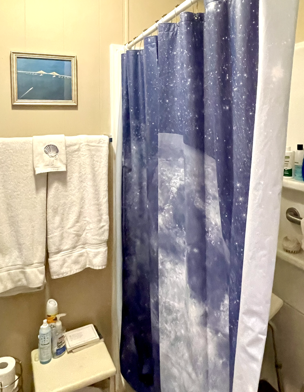 392 Sandpiper Cove, Ellenton, Florida 34222, 2 Bedrooms Bedrooms, ,2 BathroomsBathrooms,55-Plus Mobile Home,For Sale,Sandpiper Cove,4569