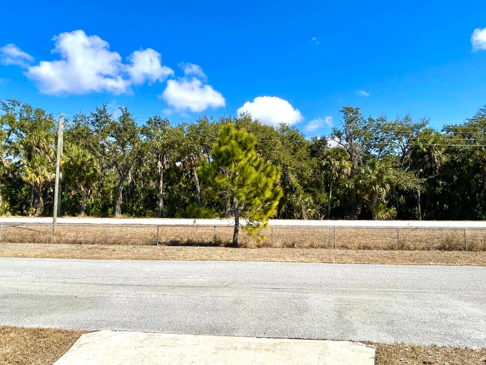 1030 Royal Palm Way, Ellenton, Florida 34222, 2 Bedrooms Bedrooms, ,2 BathroomsBathrooms,55-Plus Mobile Home,For Sale,Royal Palm Way,4582