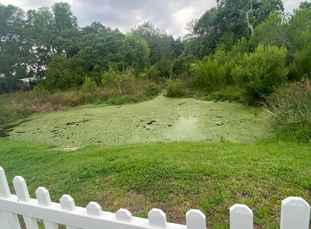 100 Hampton Road, Lot 2, Clearwater, Florida 33759, 2 Bedrooms Bedrooms, ,2 BathroomsBathrooms,55-Plus Mobile Home,For Sale,Hampton Road, Lot 2,4603