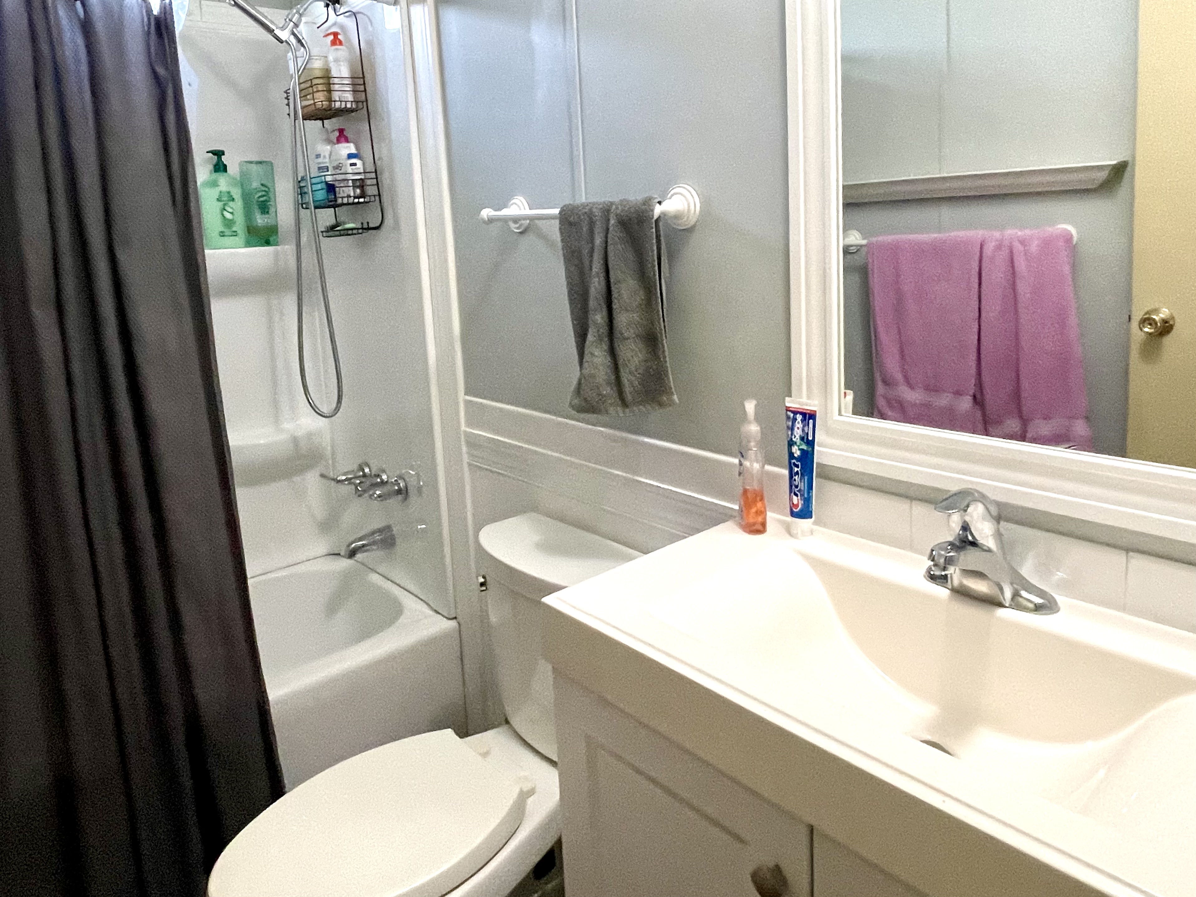 6806 Palmetto Grove, Ellenton, Florida 34222, 2 Bedrooms Bedrooms, ,2 BathroomsBathrooms,55-Plus Mobile Home,For Sale,Palmetto Grove,4614