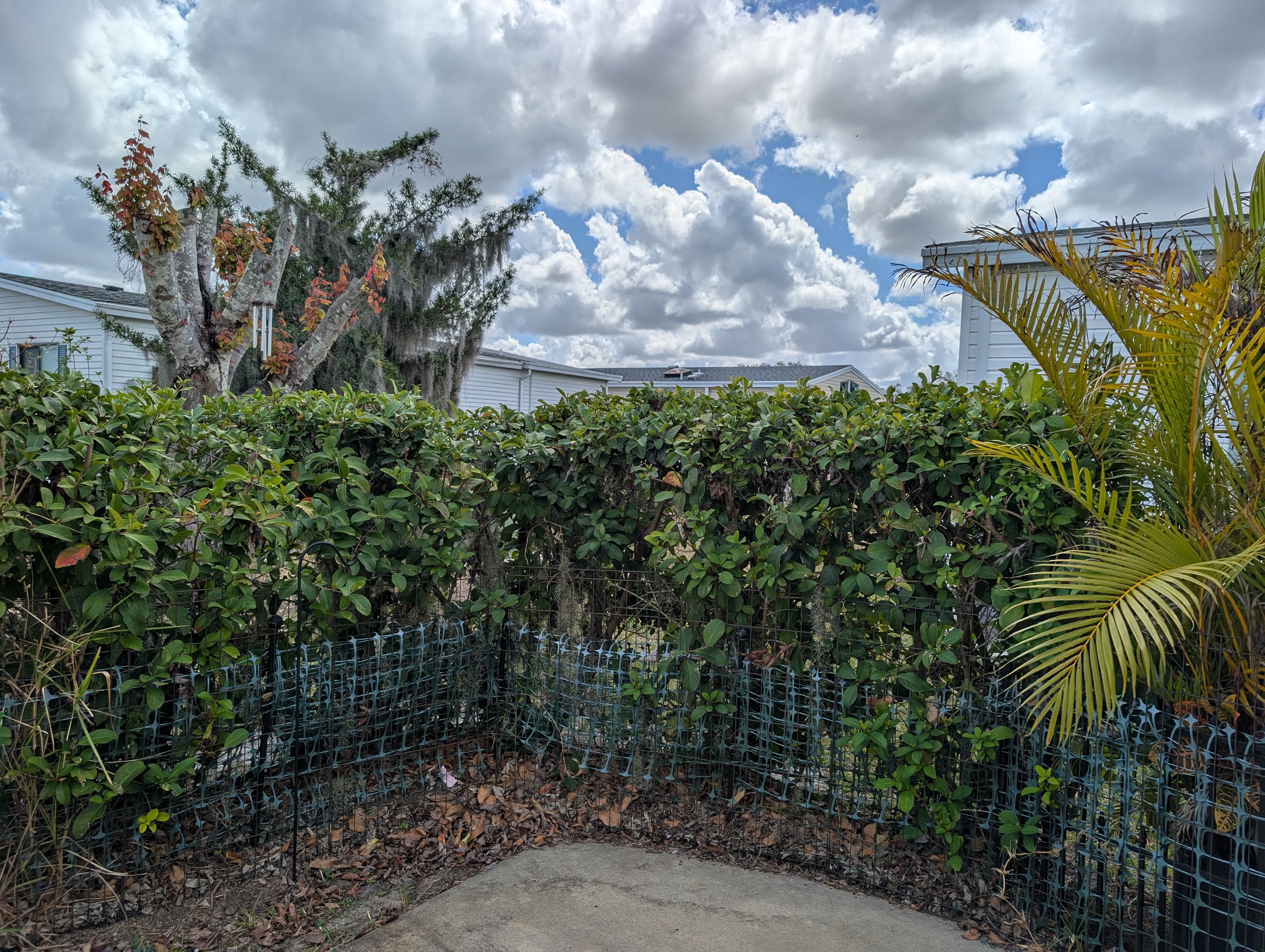 144 Tiger Lilly Dr, Parrish, Florida 34219, 2 Bedrooms Bedrooms, ,2 BathroomsBathrooms,55-Plus Mobile Home,For Sale,Tiger Lilly Dr,4622