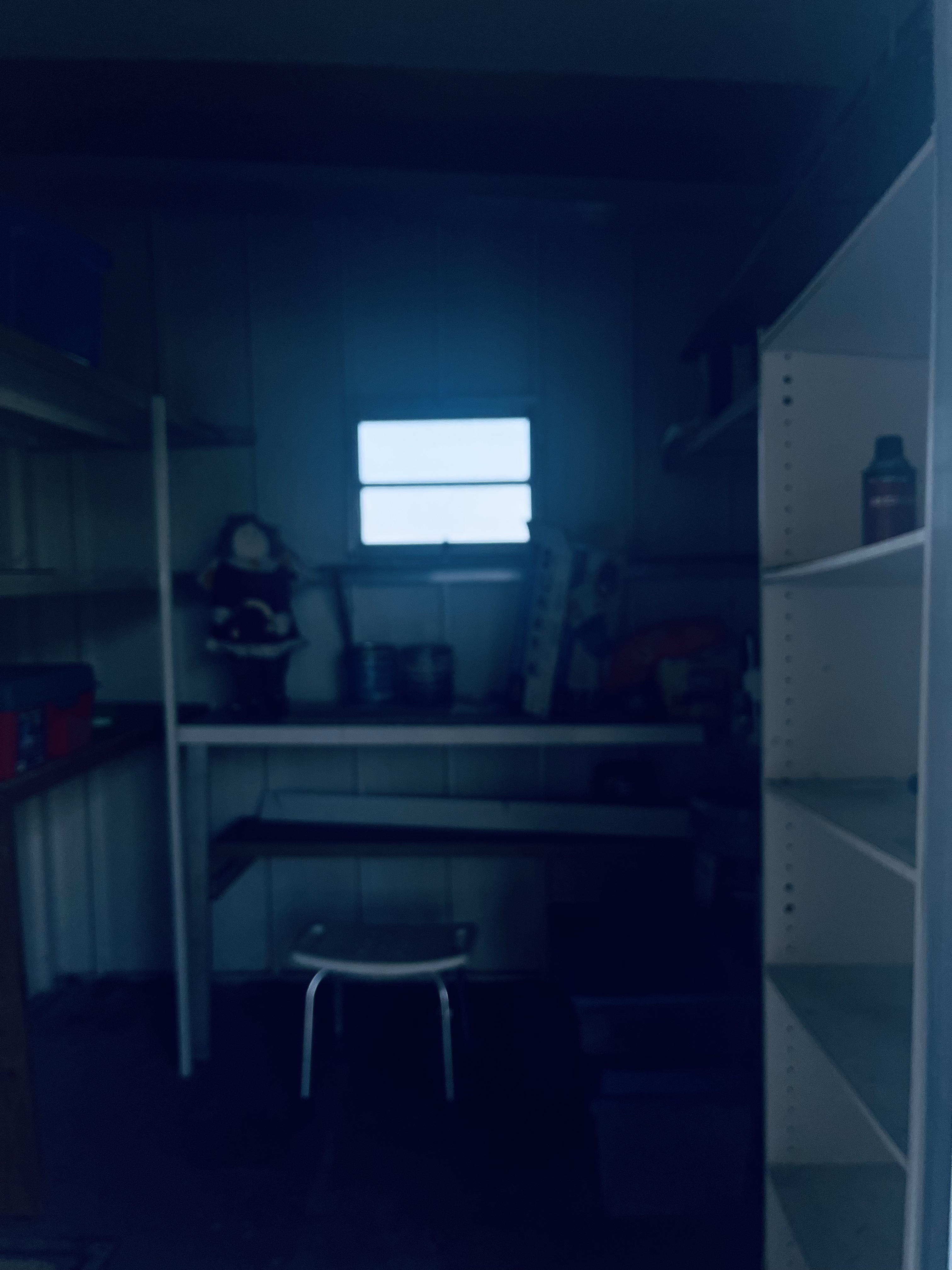 2550 State Route 580, Lot 446, Clearwater, Florida 33761, 2 Bedrooms Bedrooms, ,2 BathroomsBathrooms,55-Plus Mobile Home,For Sale,State Route 580, Lot 446,4628