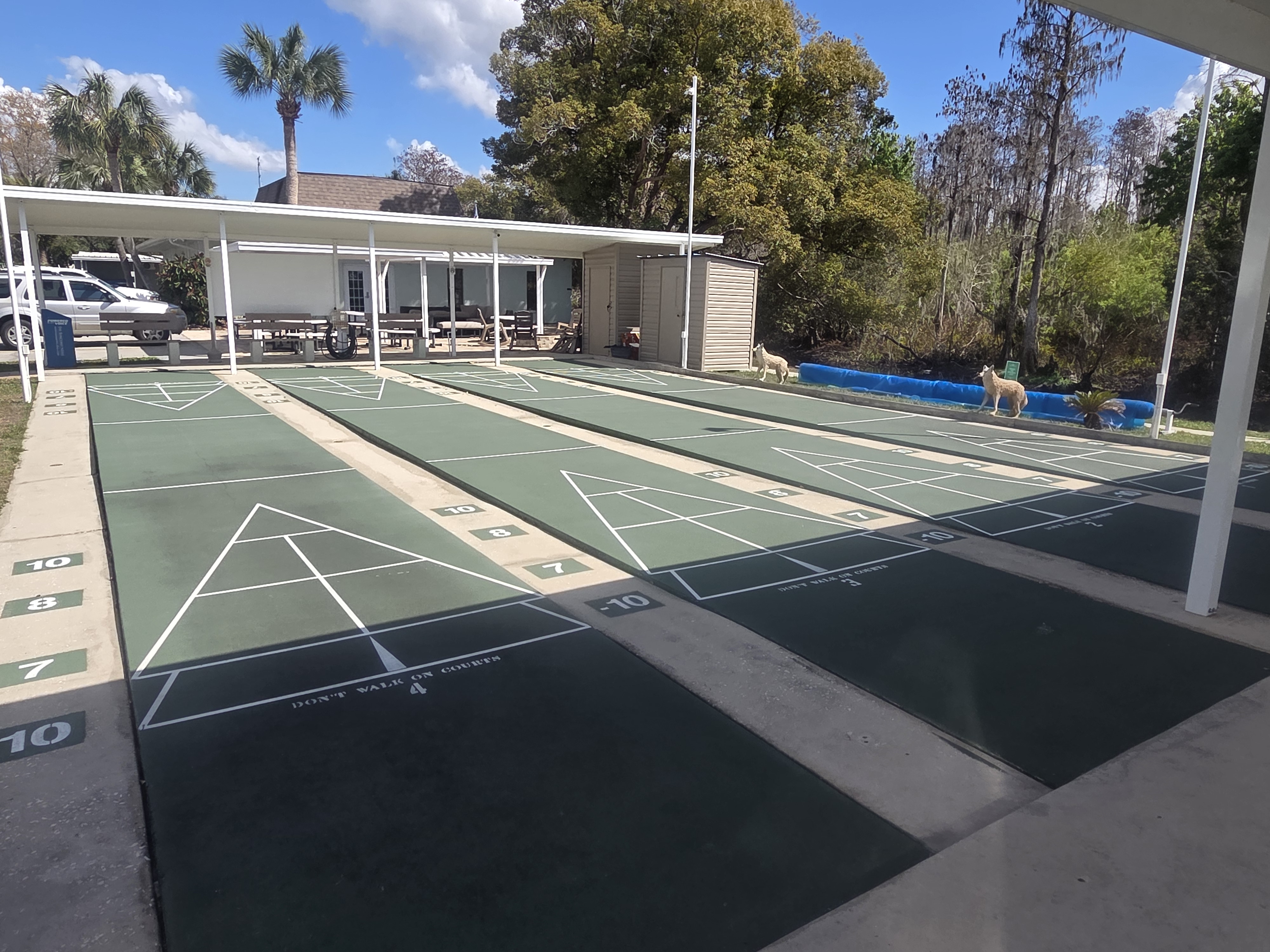 7834 Sunrunner Dr, New Port Richey, Florida 34653, 3 Bedrooms Bedrooms, ,2 BathroomsBathrooms,55-Plus Mobile Home,For Sale,Sunrunner Dr,4629