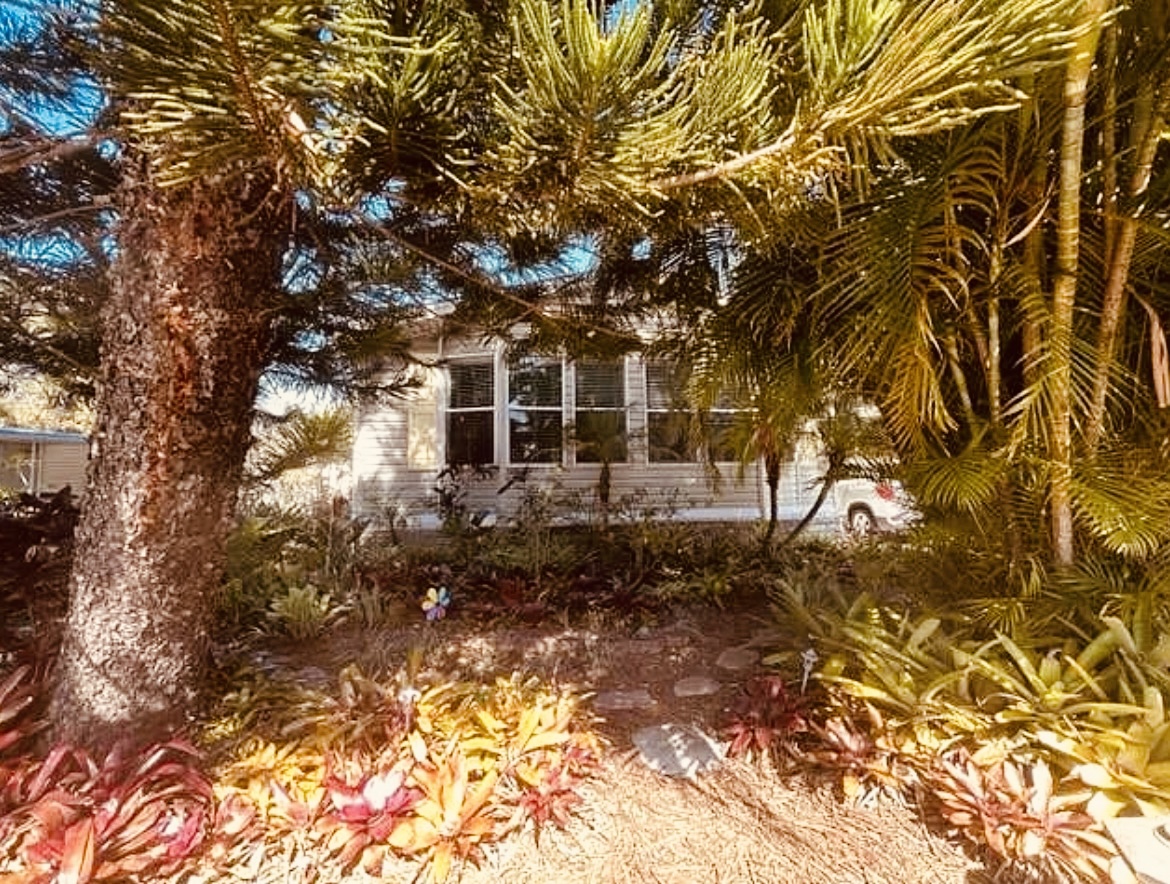 65 Lone Pine Ave, Dunedin, Florida 34698, 2 Bedrooms Bedrooms, ,2 BathroomsBathrooms,55-Plus Mobile Home,For Sale,Lone Pine Ave,4643