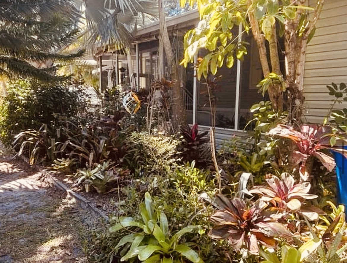 65 Lone Pine Ave, Dunedin, Florida 34698, 2 Bedrooms Bedrooms, ,2 BathroomsBathrooms,55-Plus Mobile Home,For Sale,Lone Pine Ave,4643