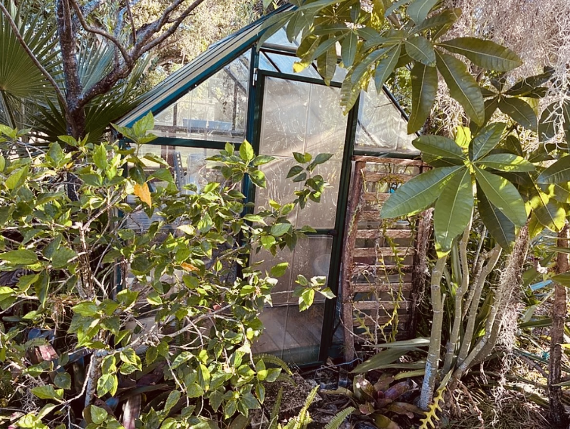 65 Lone Pine Ave, Dunedin, Florida 34698, 2 Bedrooms Bedrooms, ,2 BathroomsBathrooms,55-Plus Mobile Home,For Sale,Lone Pine Ave,4643