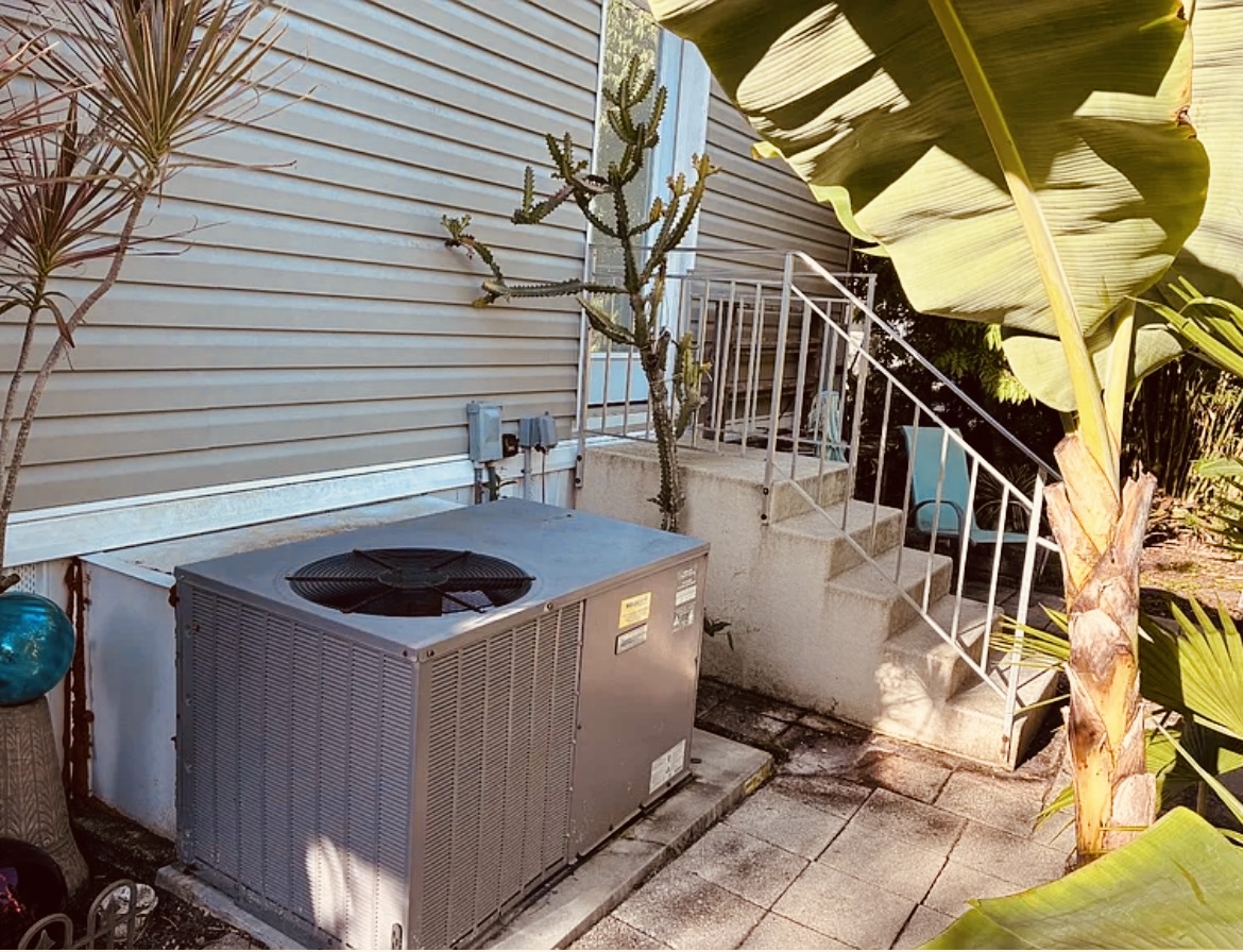 65 Lone Pine Ave, Dunedin, Florida 34698, 2 Bedrooms Bedrooms, ,2 BathroomsBathrooms,55-Plus Mobile Home,For Sale,Lone Pine Ave,4643