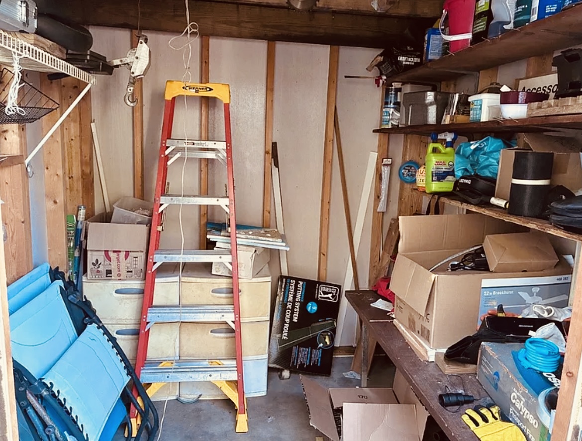 65 Lone Pine Ave, Dunedin, Florida 34698, 2 Bedrooms Bedrooms, ,2 BathroomsBathrooms,55-Plus Mobile Home,For Sale,Lone Pine Ave,4643