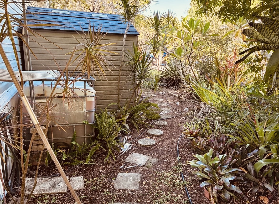 65 Lone Pine Ave, Dunedin, Florida 34698, 2 Bedrooms Bedrooms, ,2 BathroomsBathrooms,55-Plus Mobile Home,For Sale,Lone Pine Ave,4643