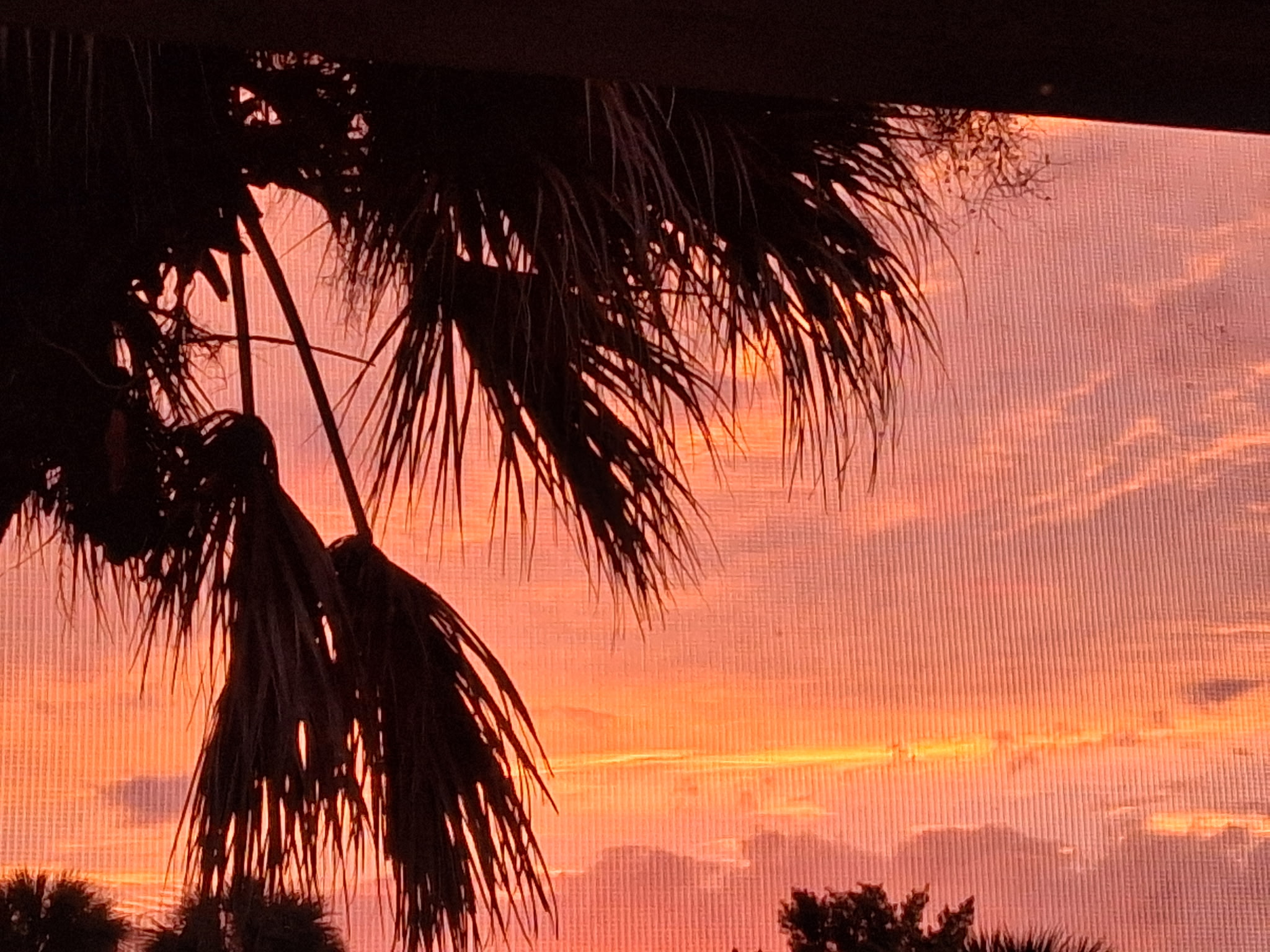 5851 River Grove Dr, 32976, Florida 32976, 2 Bedrooms Bedrooms, ,1.5 BathroomsBathrooms,55-Plus Mobile Home,For Sale,River Grove Dr,4651