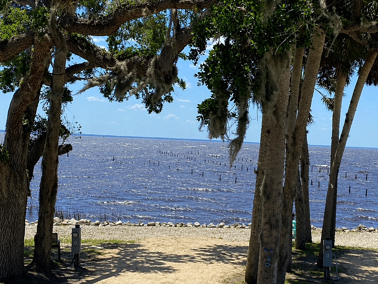 1597 Lake George Rd, Lot 5, Seville, Florida 32190, 2 Bedrooms Bedrooms, ,1 BathroomBathrooms,All - Age Mobile Home,For Sale,Lake George Rd, Lot 5,4690