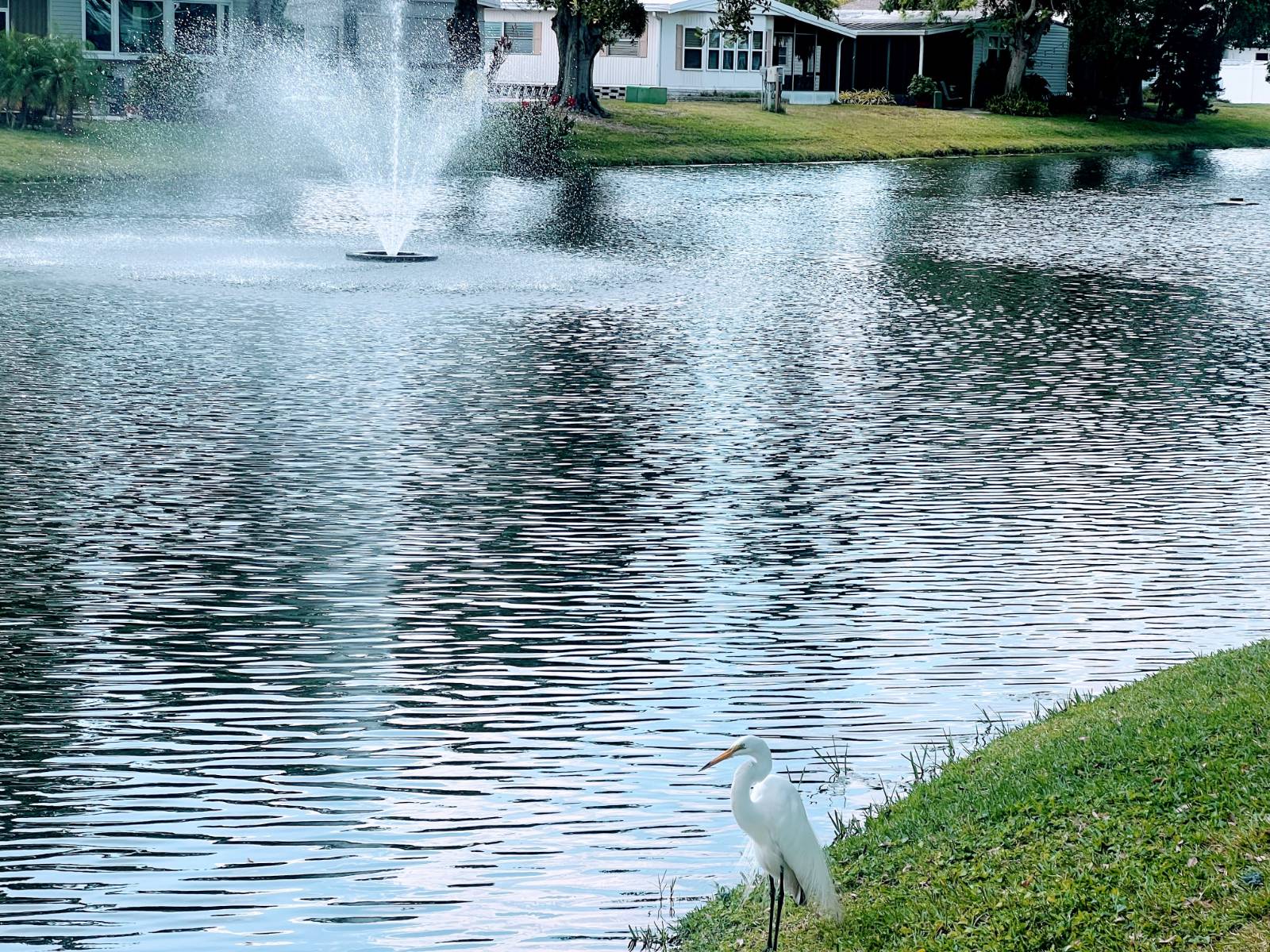 12100 Seminole Blvd, Lot 285, Largo, Florida 33778, 2 Bedrooms Bedrooms, ,2 BathroomsBathrooms,55-Plus Mobile Home,For Sale,Seminole Blvd, Lot 285,4709