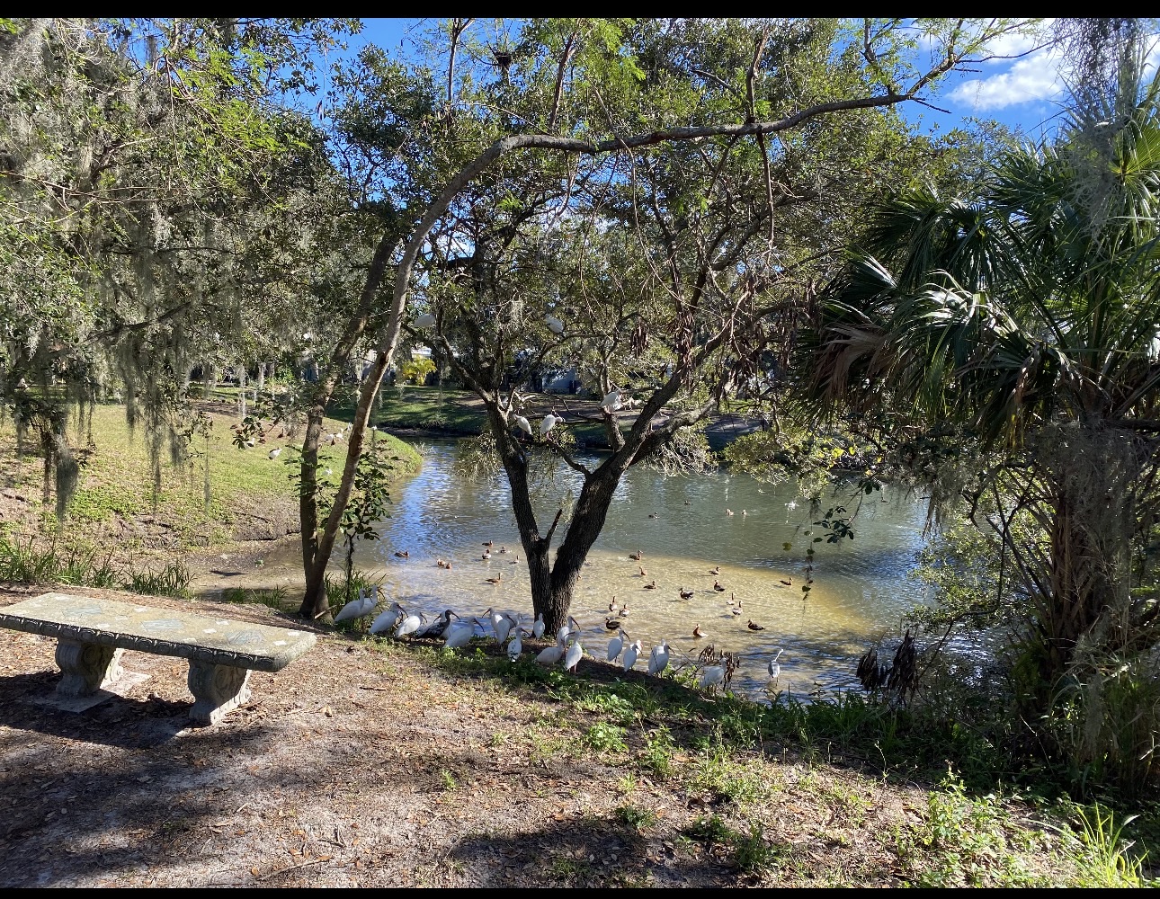 2850 Hague Ave, 34234, Florida 34234, 3 Bedrooms Bedrooms, ,2 BathroomsBathrooms,55-Plus Mobile Home,For Sale,Hague Ave,4715