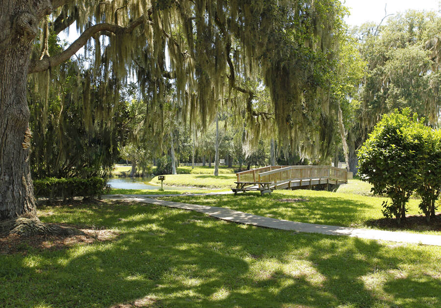 3 Red Fox Ln, Flagler Beach, Florida 32136, 2 Bedrooms Bedrooms, ,2 BathroomsBathrooms,55-Plus Mobile Home,For Sale,Red Fox Ln,4719