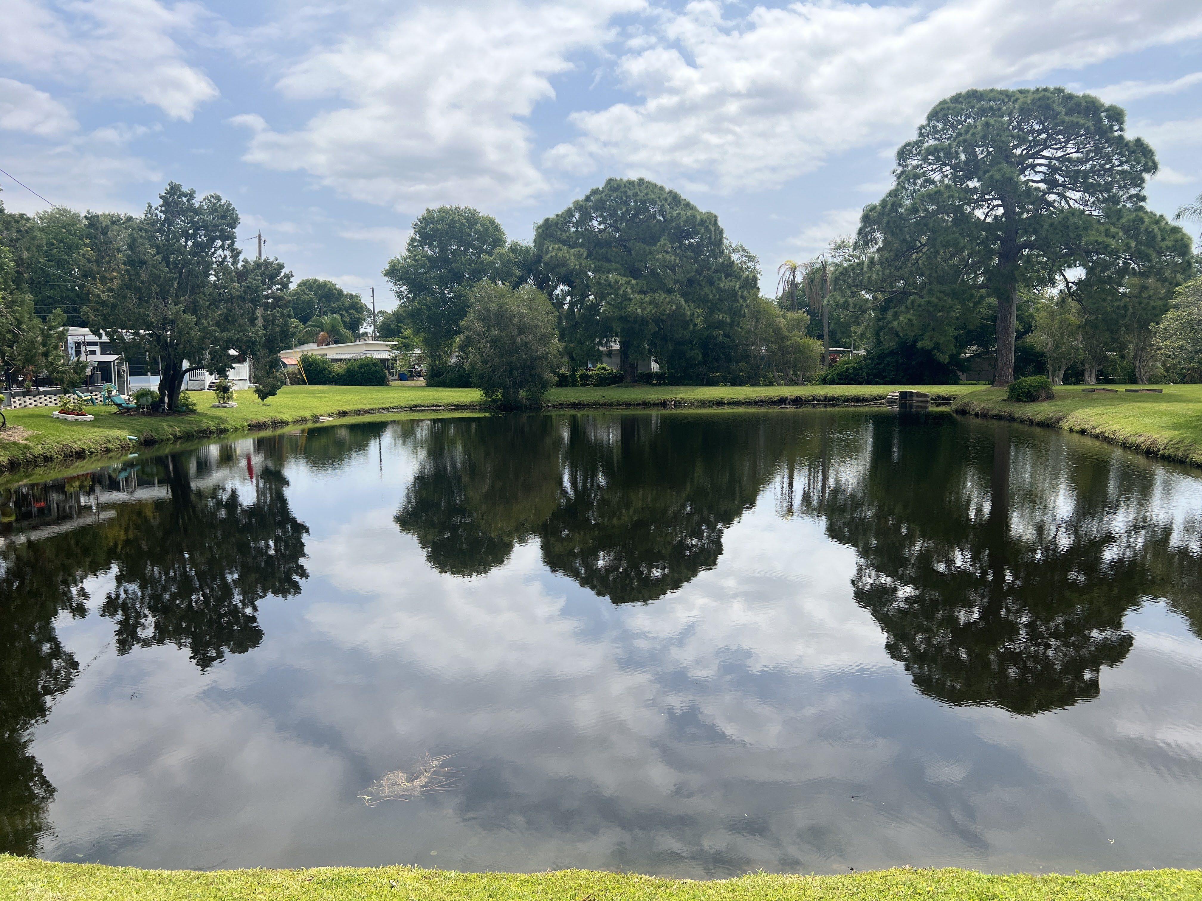 2419 Gulf to Bay Blvd, Lot 1223, Clearwater, Florida 33705, 2 Bedrooms Bedrooms, ,1.5 BathroomsBathrooms,55-Plus Mobile Home,For Sale,Gulf to Bay Blvd, Lot 1223,4749