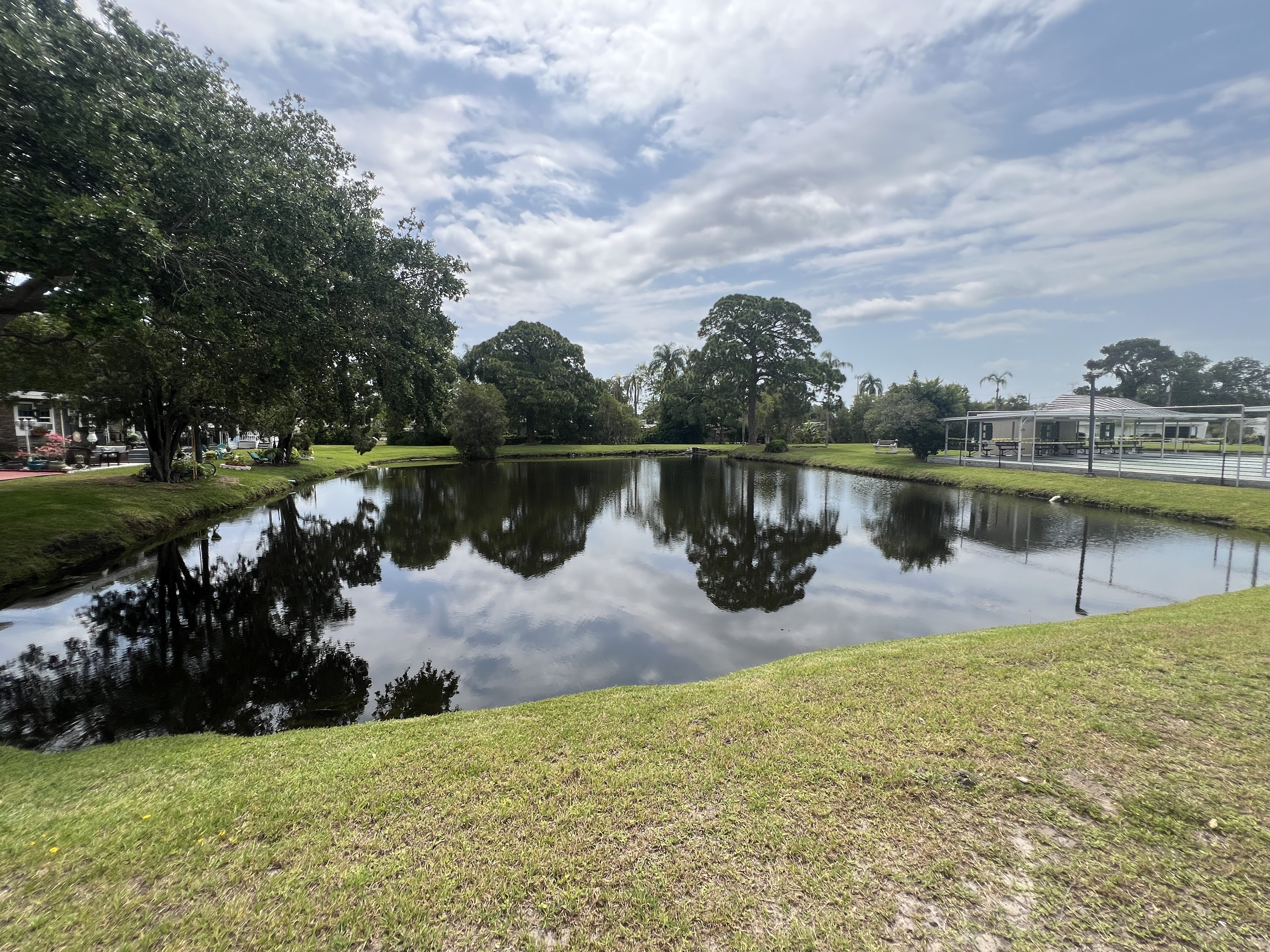 2419 Gulf to Bay Blvd, Lot 1223, Clearwater, Florida 33705, 2 Bedrooms Bedrooms, ,1.5 BathroomsBathrooms,55-Plus Mobile Home,For Sale,Gulf to Bay Blvd, Lot 1223,4749