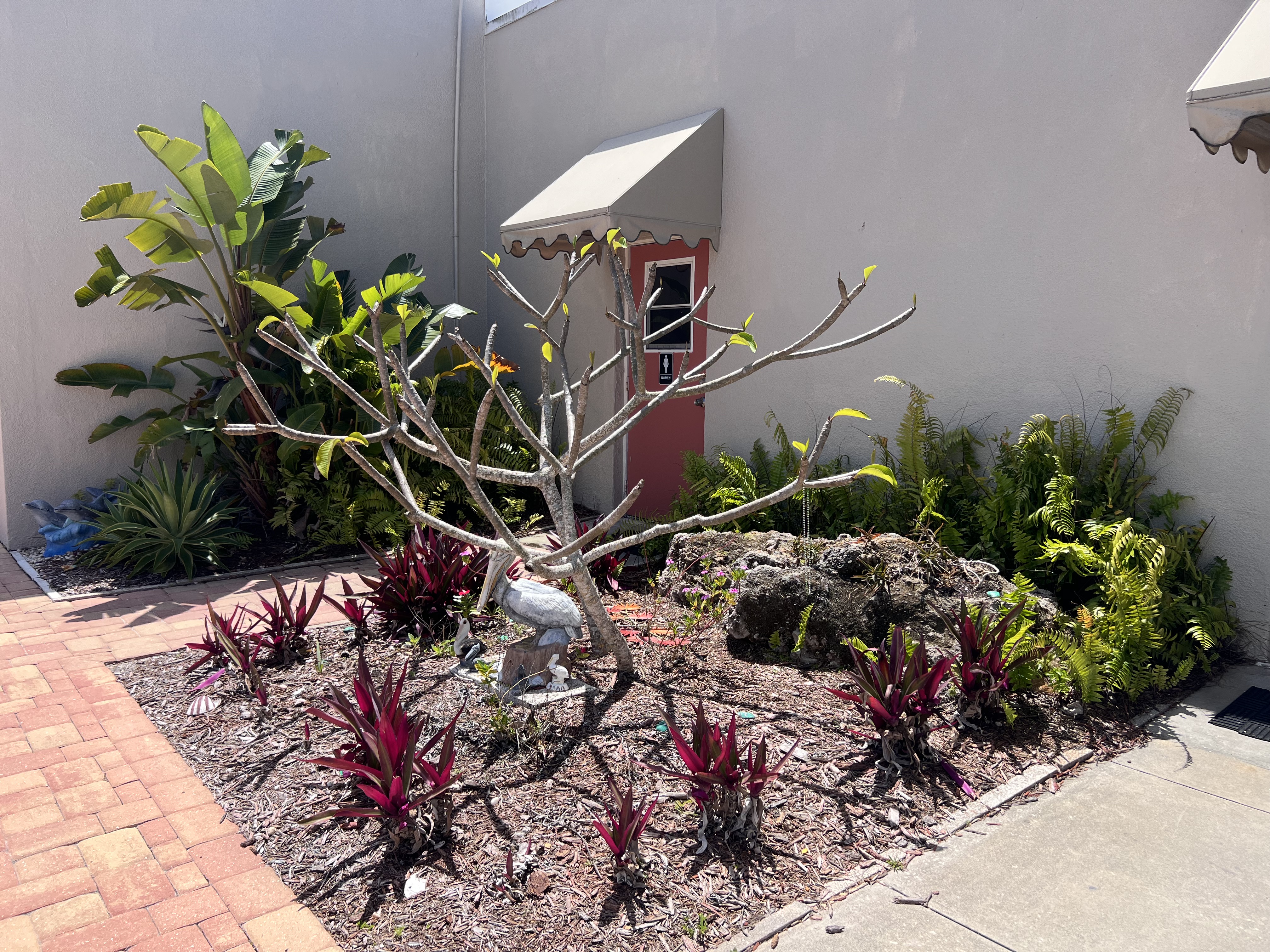 279 Lake Dr, Nokomis, Florida 34275, 2 Bedrooms Bedrooms, ,2 BathroomsBathrooms,55-Plus Mobile Home,For Sale,Lake Dr,4756