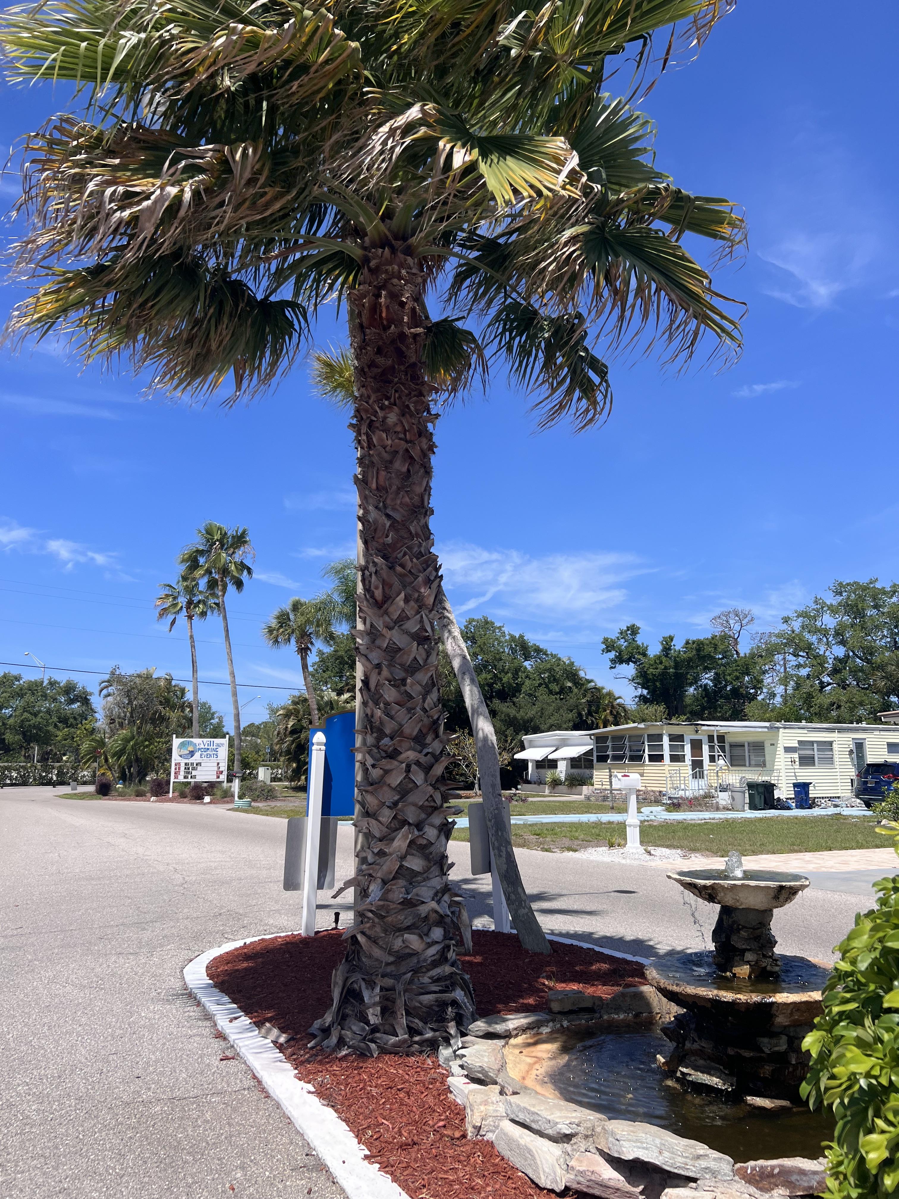 279 Lake Dr, Nokomis, Florida 34275, 2 Bedrooms Bedrooms, ,2 BathroomsBathrooms,55-Plus Mobile Home,For Sale,Lake Dr,4756