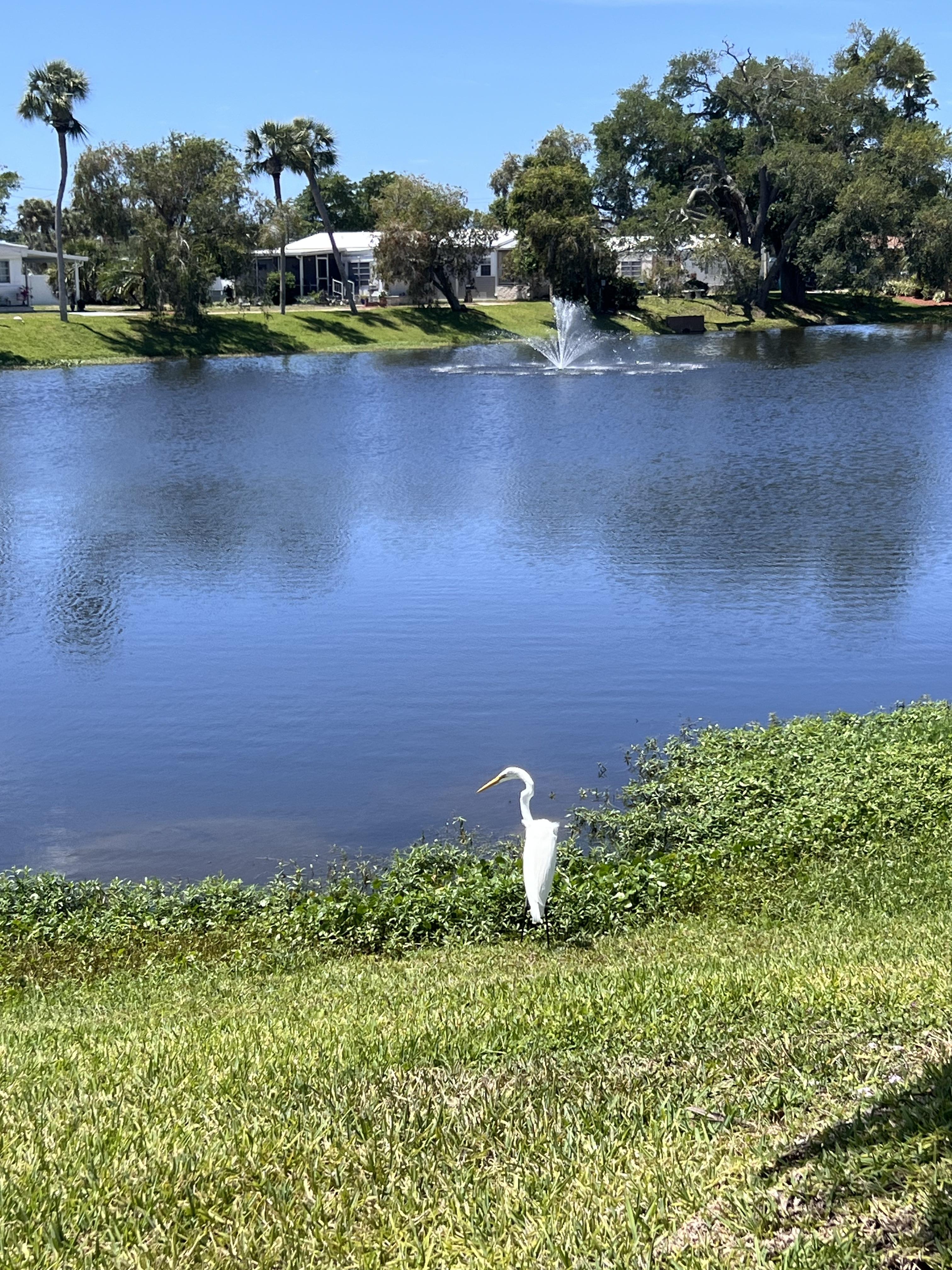 279 Lake Dr, Nokomis, Florida 34275, 2 Bedrooms Bedrooms, ,2 BathroomsBathrooms,55-Plus Mobile Home,For Sale,Lake Dr,4756