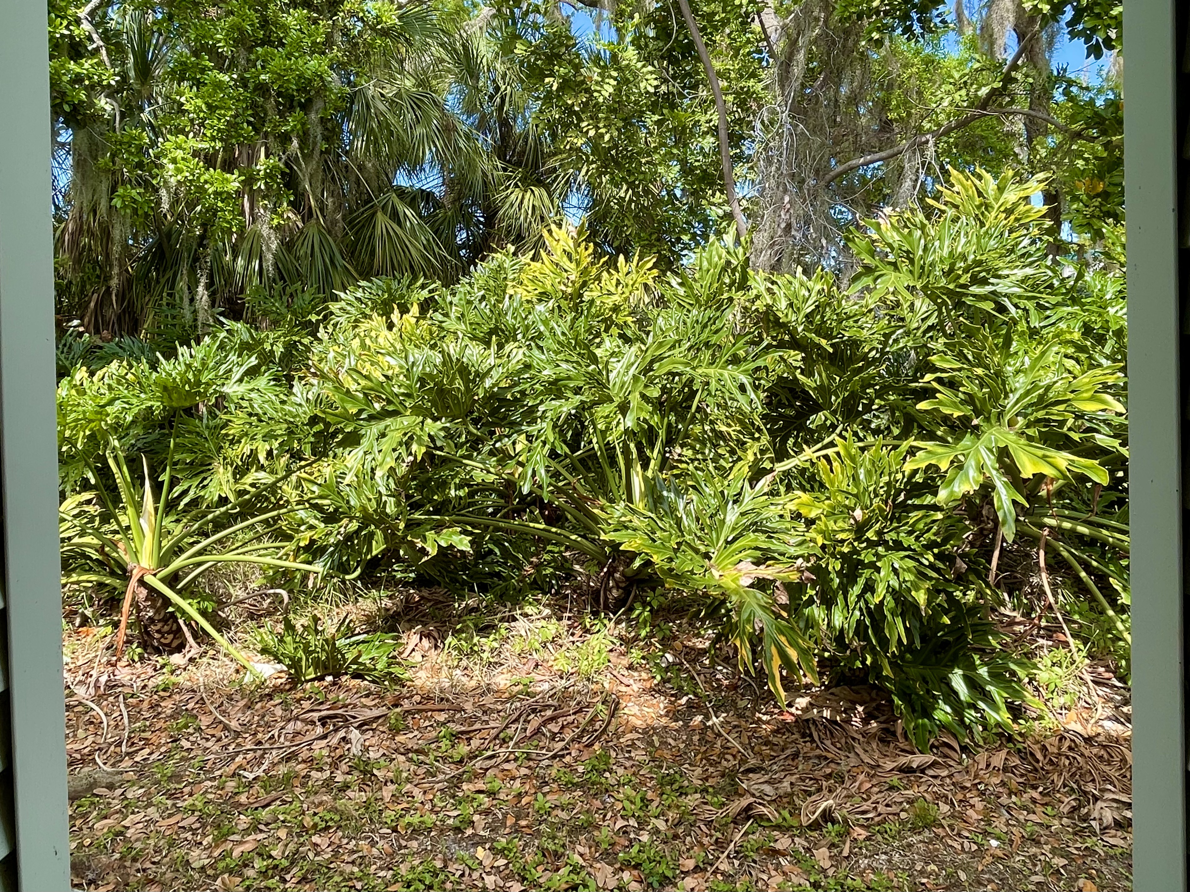 398 Sandpiper Cove, Ellenton, Florida 34222, 2 Bedrooms Bedrooms, ,2 BathroomsBathrooms,55-Plus Mobile Home,For Sale,Sandpiper Cove,4771