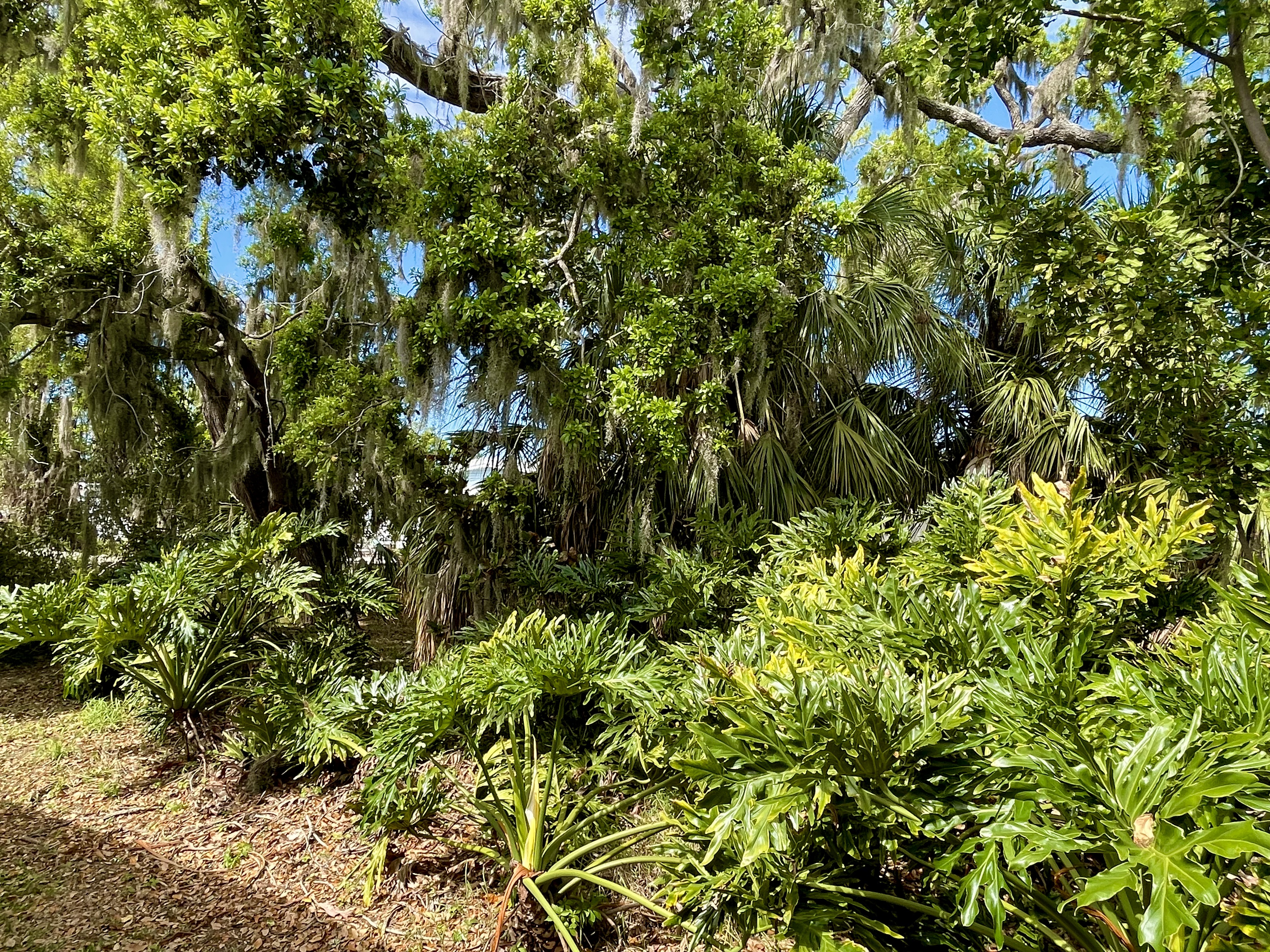 398 Sandpiper Cove, Ellenton, Florida 34222, 2 Bedrooms Bedrooms, ,2 BathroomsBathrooms,55-Plus Mobile Home,For Sale,Sandpiper Cove,4771