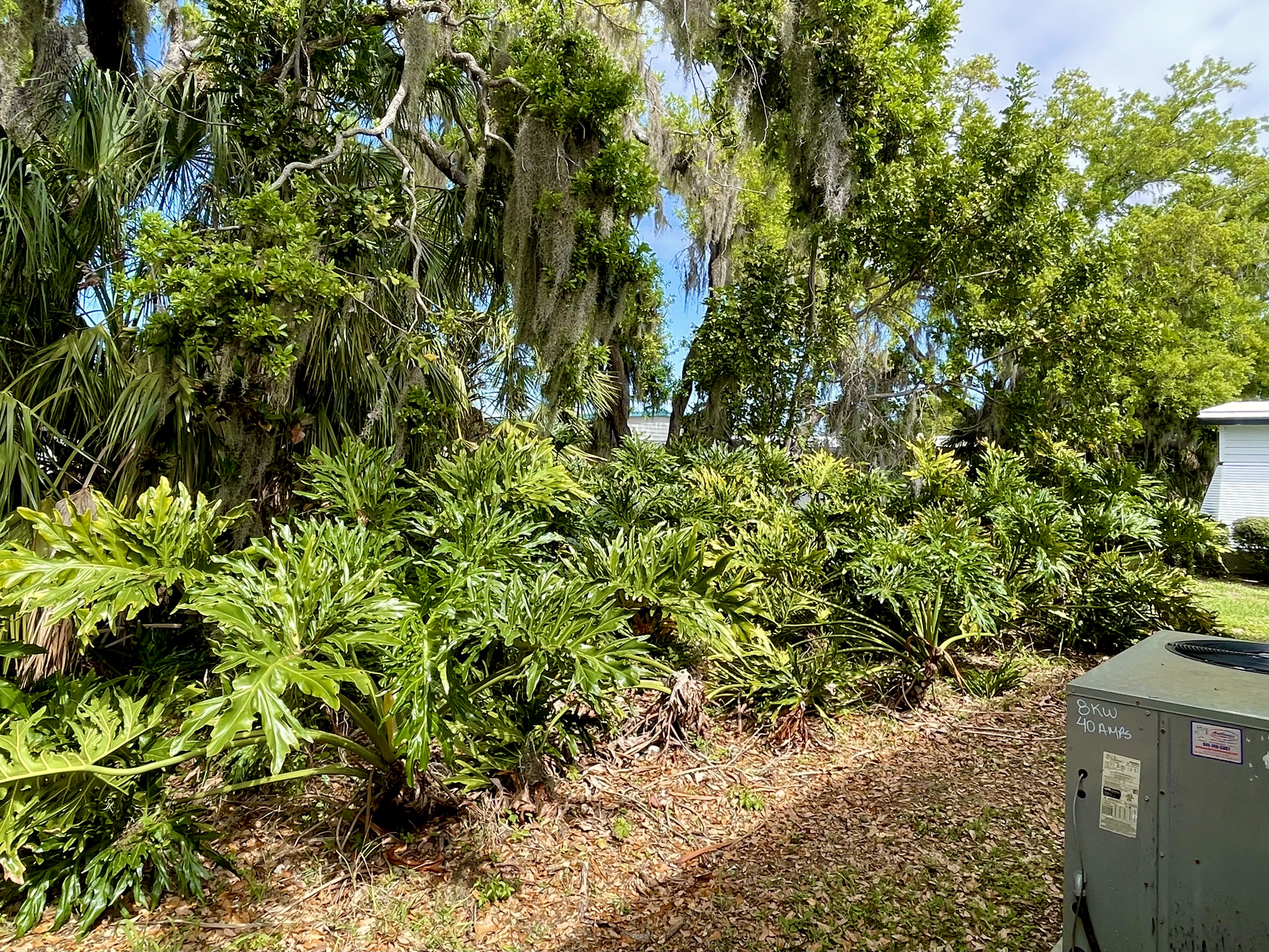 398 Sandpiper Cove, Ellenton, Florida 34222, 2 Bedrooms Bedrooms, ,2 BathroomsBathrooms,55-Plus Mobile Home,For Sale,Sandpiper Cove,4771