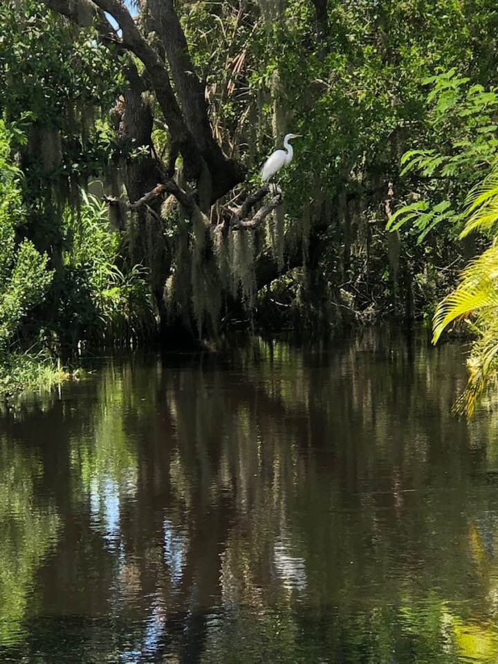 460 Sunset Circle S, Ellenton, Florida 34222, 2 Bedrooms Bedrooms, ,2 BathroomsBathrooms,55-Plus Mobile Home,For Sale,Sunset Circle S,4776