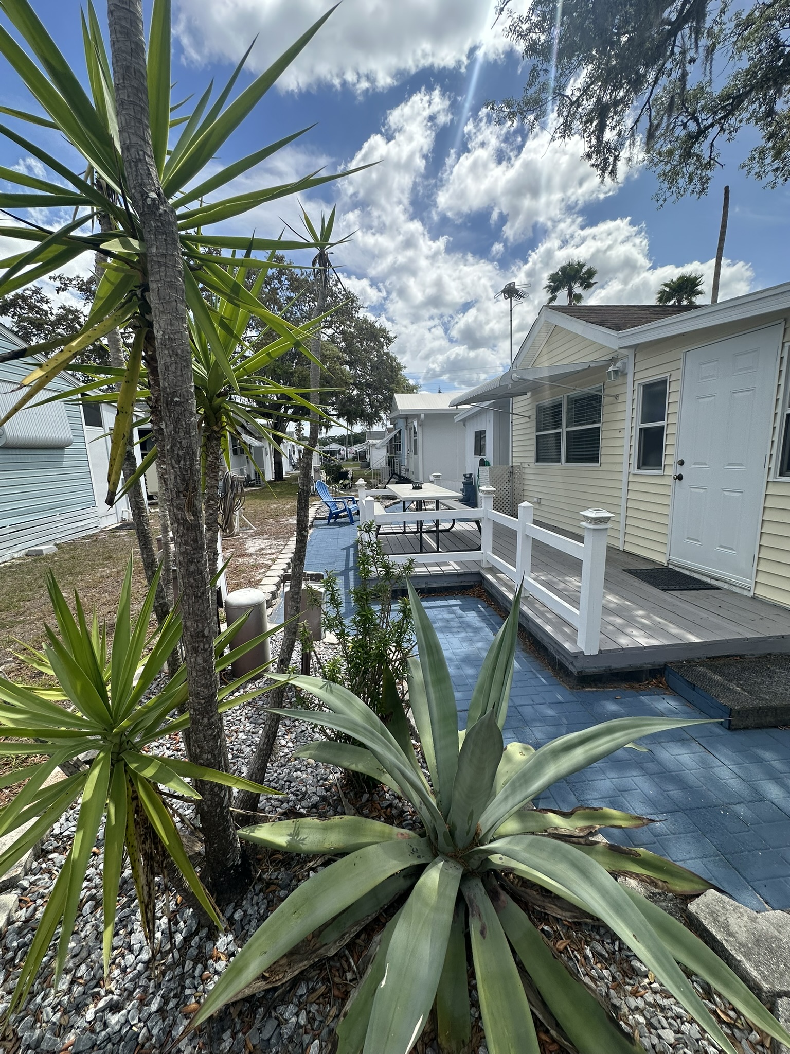 8225 Arevee Dr, Lot 917, New Port Richey, Florida 34654, 2 Bedrooms Bedrooms, ,1 BathroomBathrooms,55-Plus Mobile Home,For Sale,Arevee Dr, Lot 917,4781