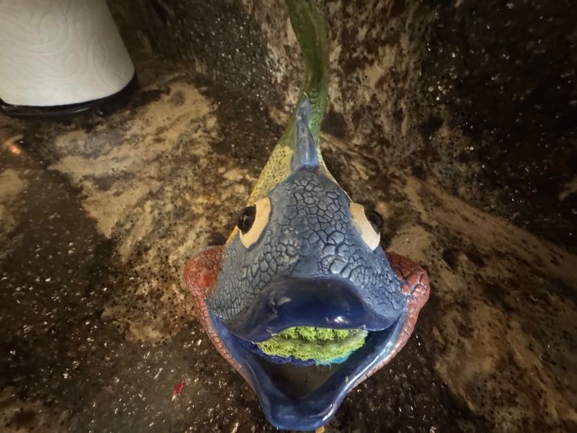 4316 Buena Vista Dr N, Ellenton, Florida 34222, 2 Bedrooms Bedrooms, ,2 BathroomsBathrooms,55-Plus Mobile Home,For Sale,Buena Vista Dr N,4794