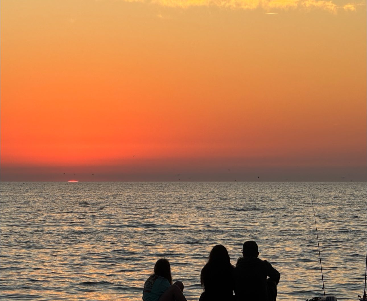 3901 71st St W, Lot 185, Bradenton, Florida 34209, 2 Bedrooms Bedrooms, ,2 BathroomsBathrooms,55-Plus Mobile Home,For Sale,71st St W, Lot 185,4795