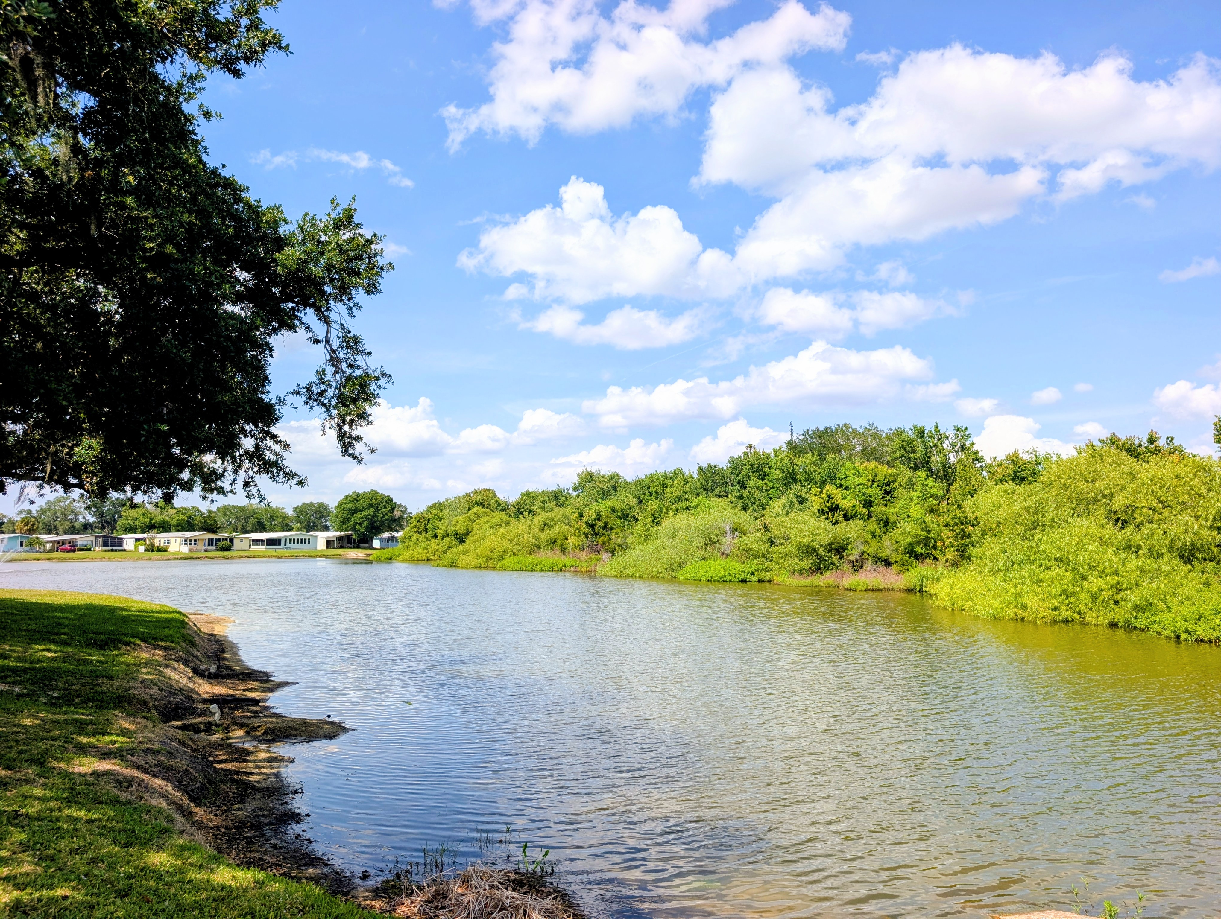 9911 Cameron Lane, Parrish, Florida 34219, 2 Bedrooms Bedrooms, ,2 BathroomsBathrooms,55-Plus Mobile Home,For Sale,Cameron Lane,4798