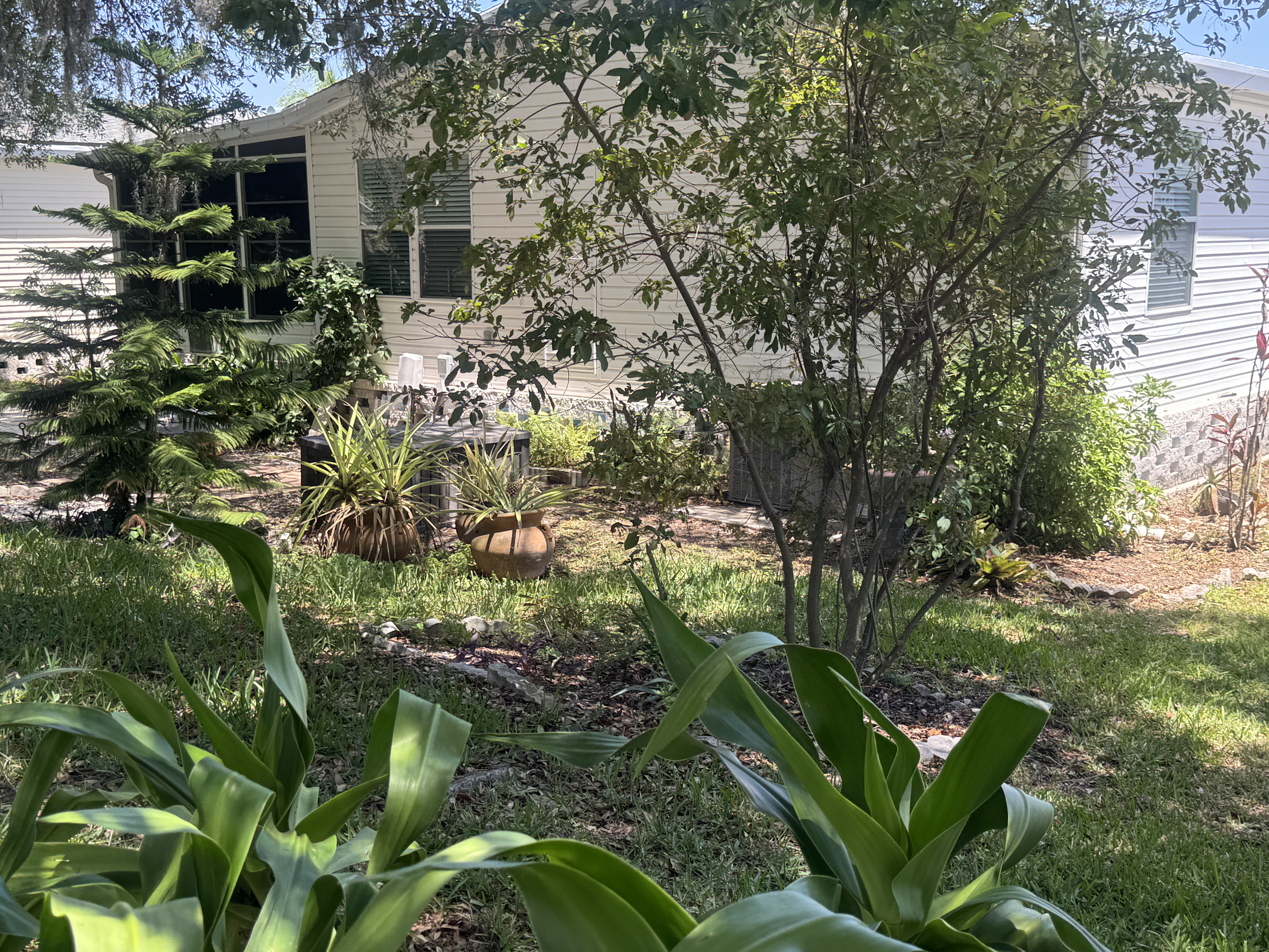 3515 Asbury Drive, Parrish, Florida 34219, 2 Bedrooms Bedrooms, ,2 BathroomsBathrooms,55-Plus Mobile Home,For Sale,Asbury Drive,4804