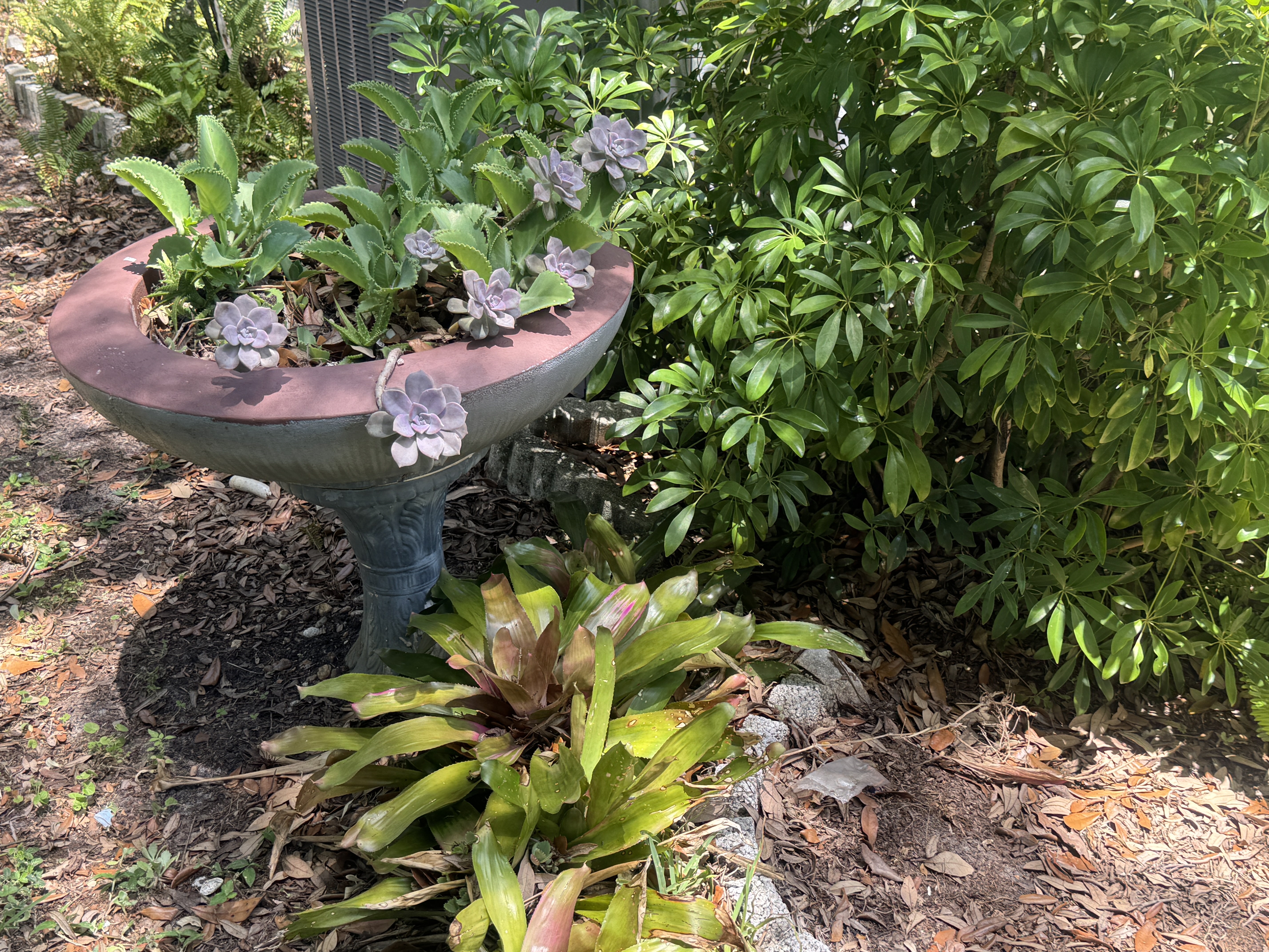 3515 Asbury Drive, Parrish, Florida 34219, 2 Bedrooms Bedrooms, ,2 BathroomsBathrooms,55-Plus Mobile Home,For Sale,Asbury Drive,4804