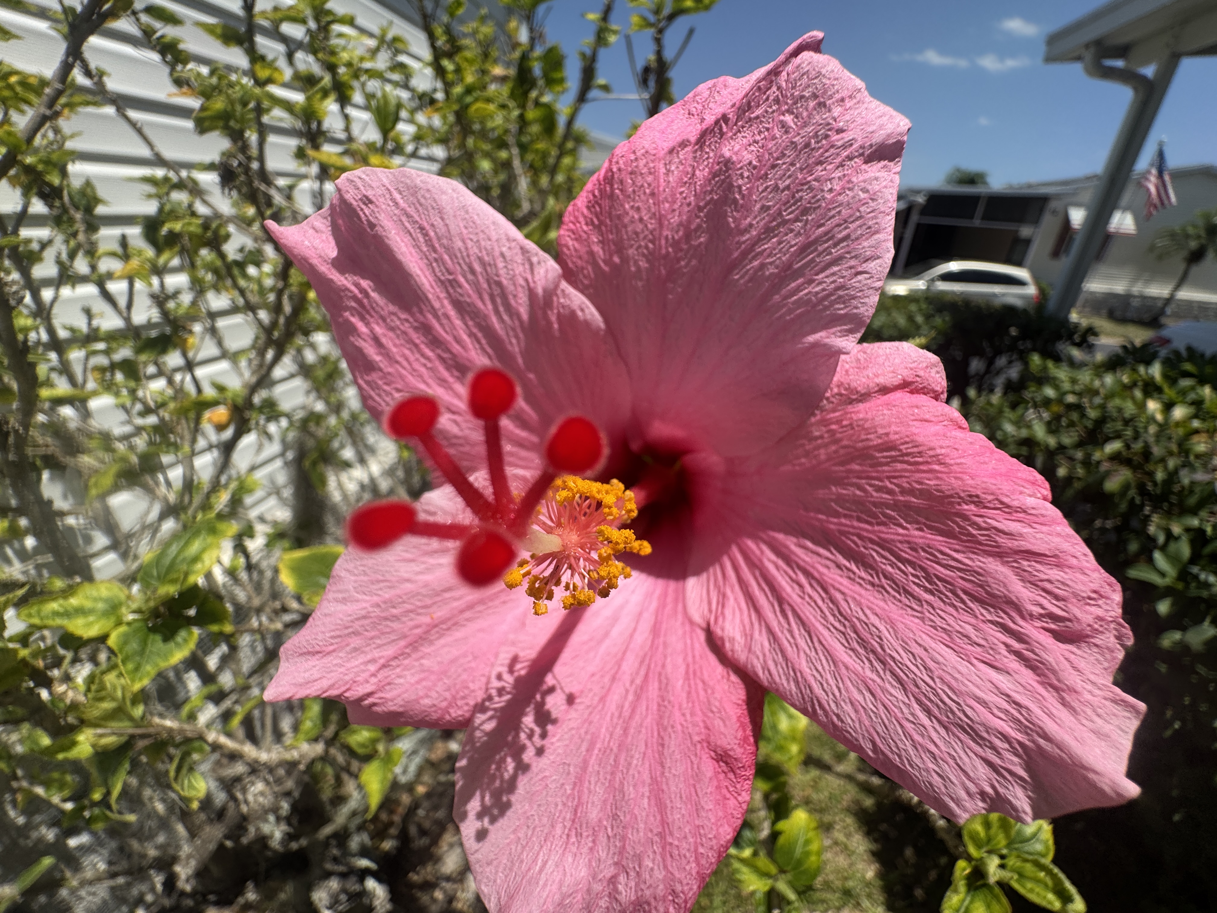 3515 Asbury Drive, Parrish, Florida 34219, 2 Bedrooms Bedrooms, ,2 BathroomsBathrooms,55-Plus Mobile Home,For Sale,Asbury Drive,4804
