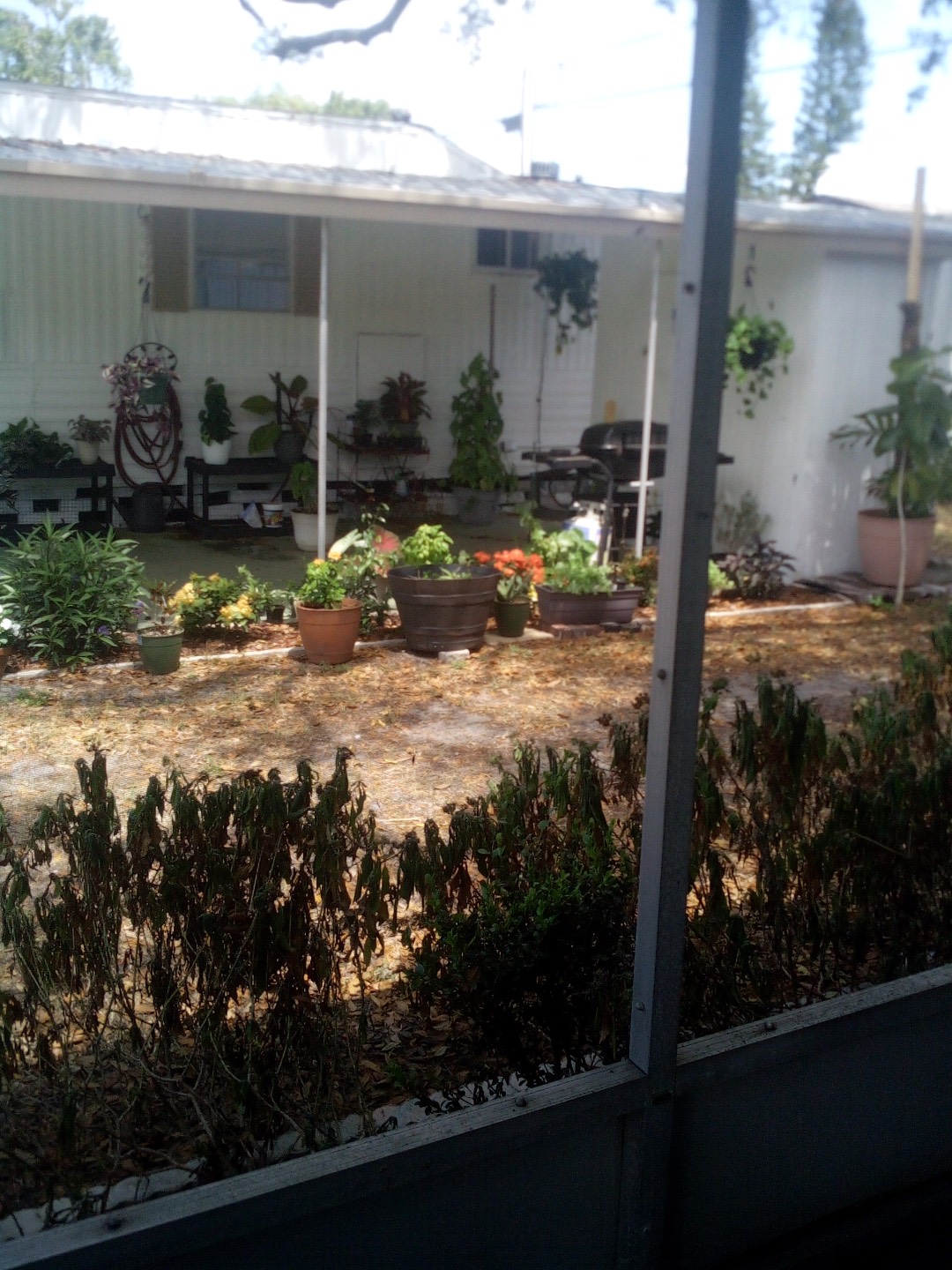 1280 Lakeview Rd, Lot 132, Clearwater, Florida 33756, 2 Bedrooms Bedrooms, ,1.5 BathroomsBathrooms,55-Plus Mobile Home,For Sale,Lakeview Rd, Lot 132,4811