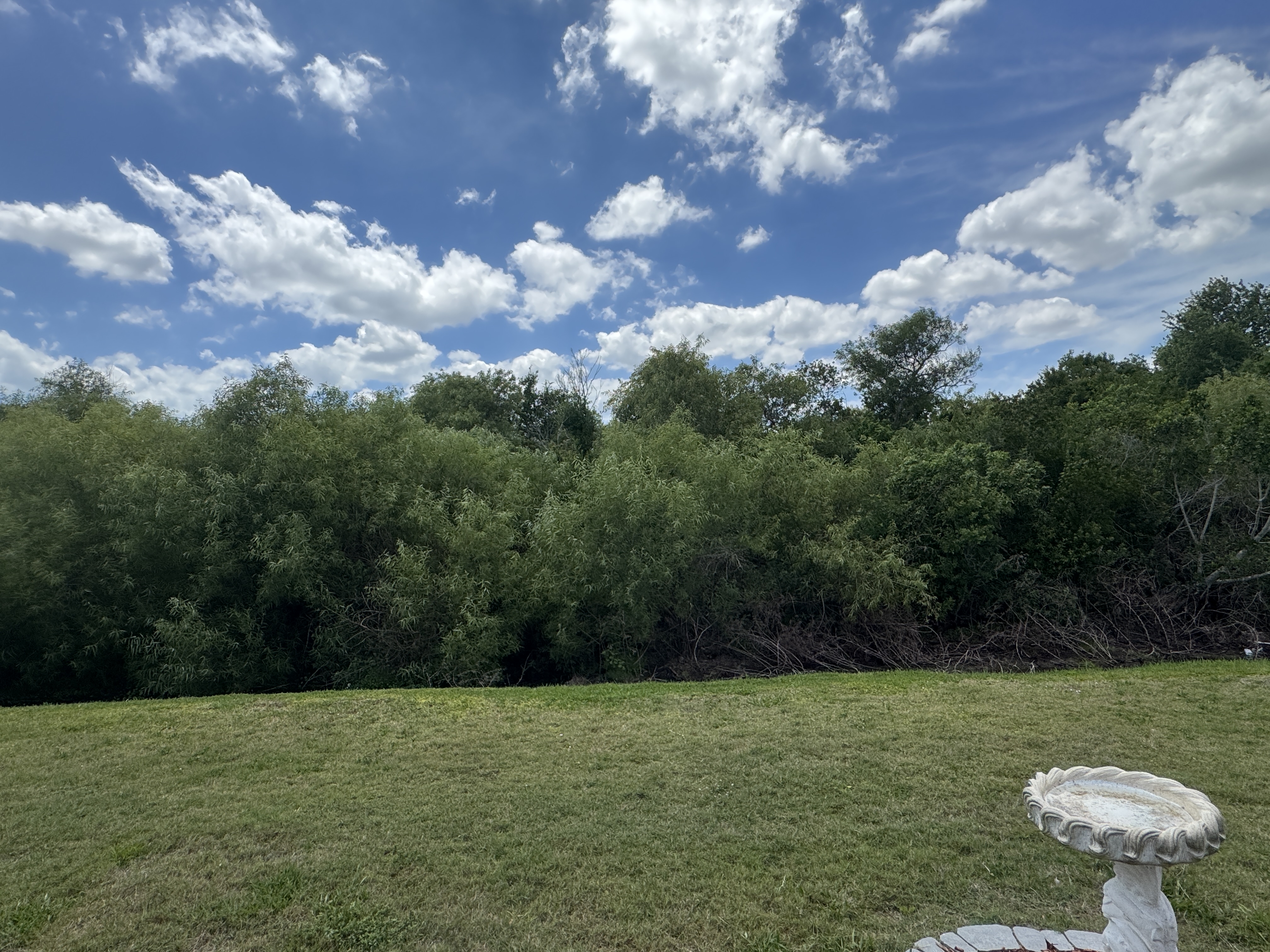 5530 Whistling Tree Ln, Bradenton, Florida 34203, 3 Bedrooms Bedrooms, ,2 BathroomsBathrooms,55-Plus Mobile Home,For Sale,Whistling Tree Ln,4822