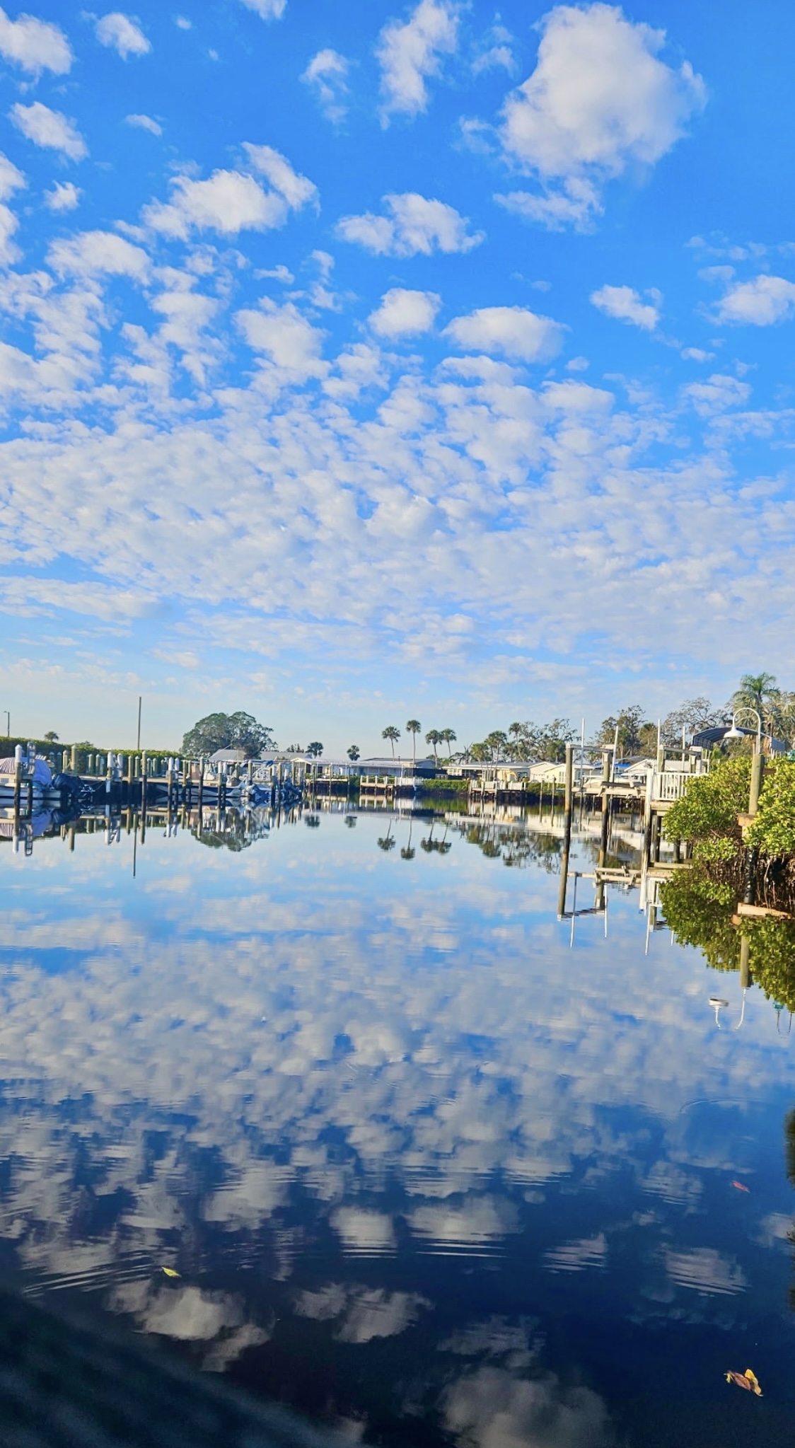 217 Denmark Drive, Ellenton, Florida 34222, 2 Bedrooms Bedrooms, ,2 BathroomsBathrooms,55-Plus Mobile Home,For Sale,Denmark Drive,4823