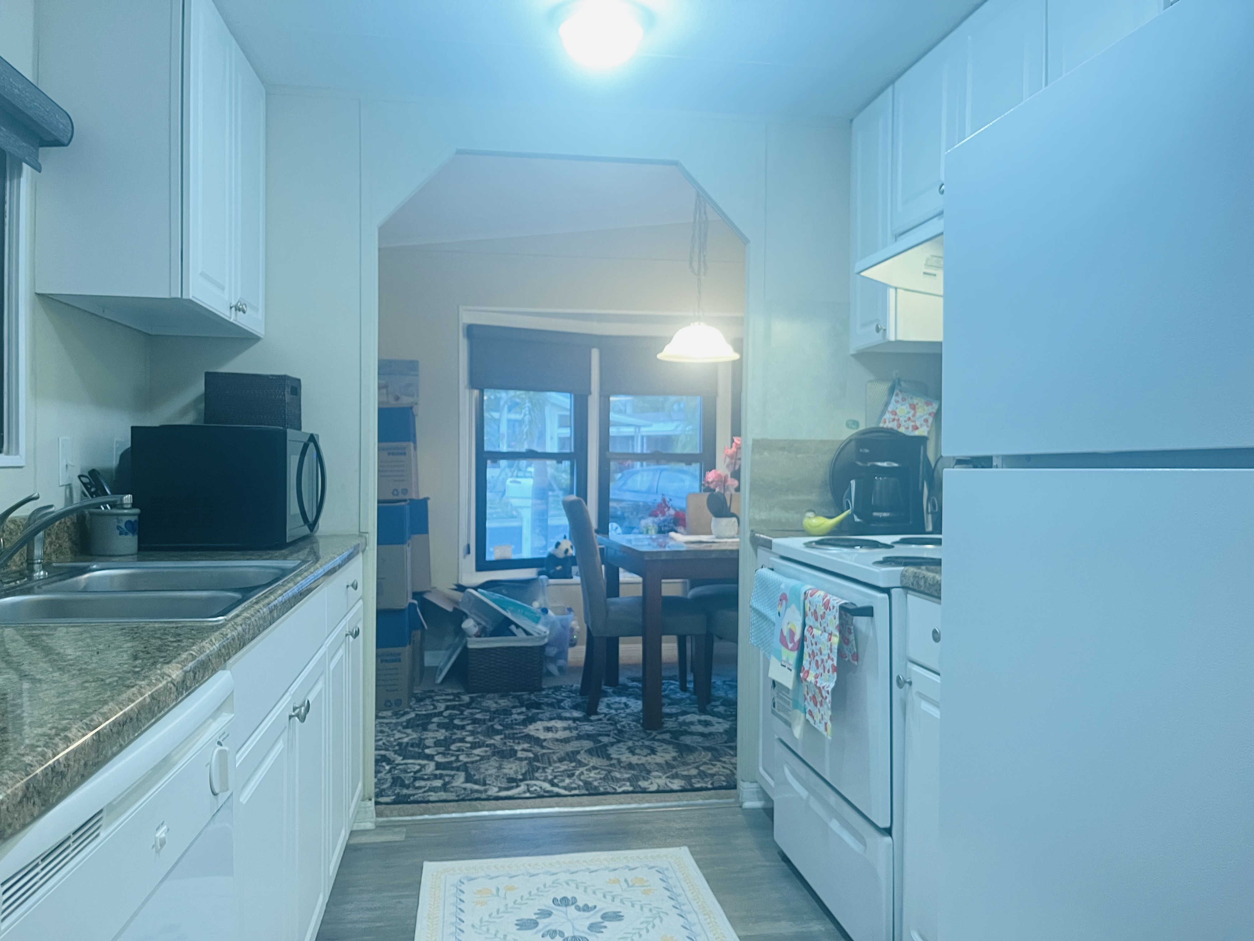 100 Hampton Rd, Lot 6, Clearwater, Florida 33759, 2 Bedrooms Bedrooms, ,2 BathroomsBathrooms,55-Plus Mobile Home,For Sale,Hampton Rd, Lot 6,4847