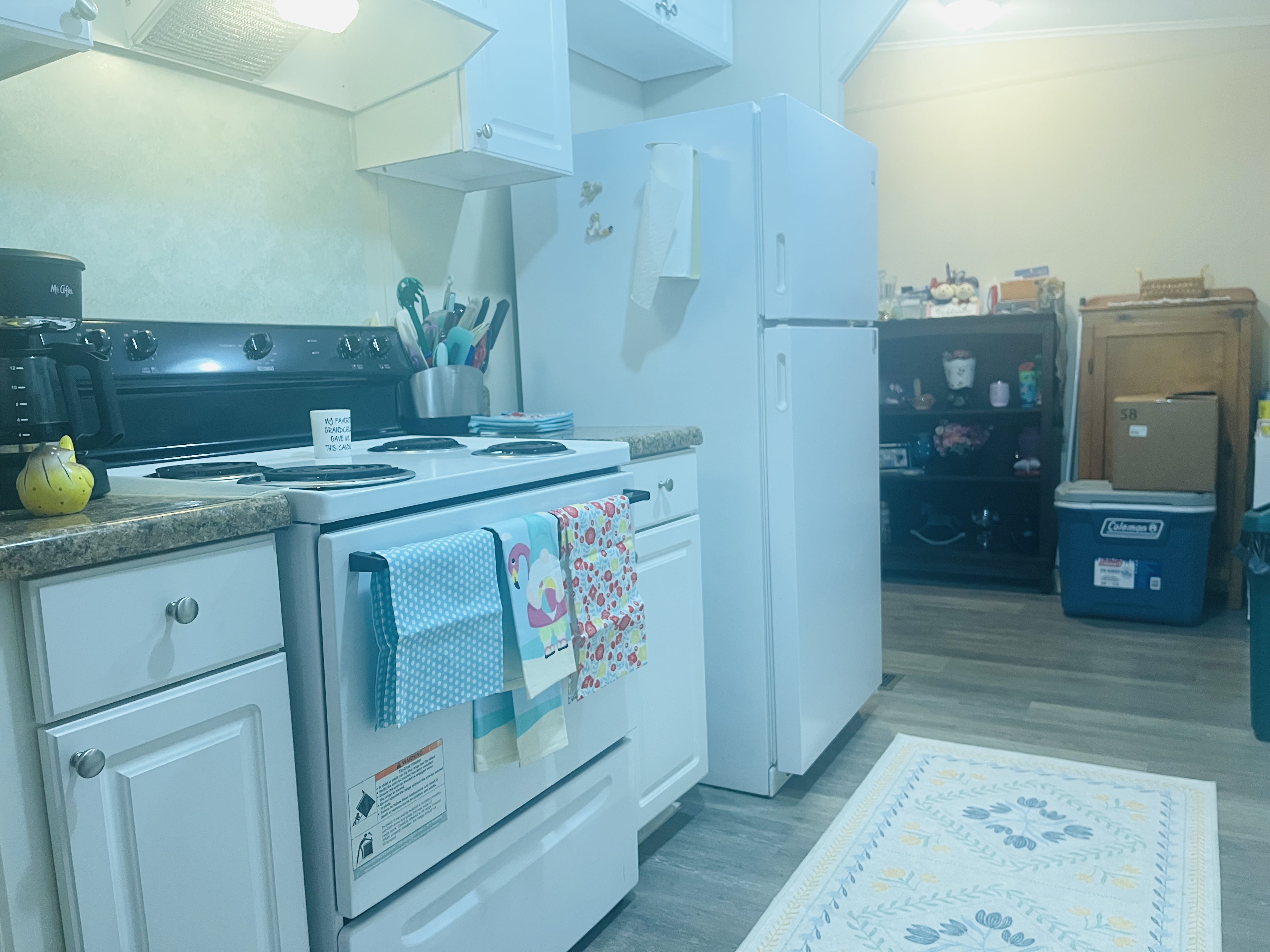 100 Hampton Rd, Lot 6, Clearwater, Florida 33759, 2 Bedrooms Bedrooms, ,2 BathroomsBathrooms,55-Plus Mobile Home,For Sale,Hampton Rd, Lot 6,4847