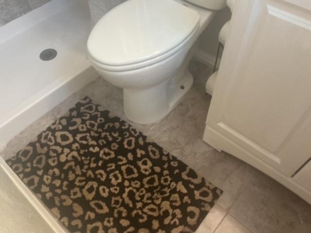 1280 Lakeview Rd, Lot 211, Clearwater, Florida 33756, 2 Bedrooms Bedrooms, ,2 BathroomsBathrooms,55-Plus Mobile Home,For Sale,Lakeview Rd, Lot 211,4863